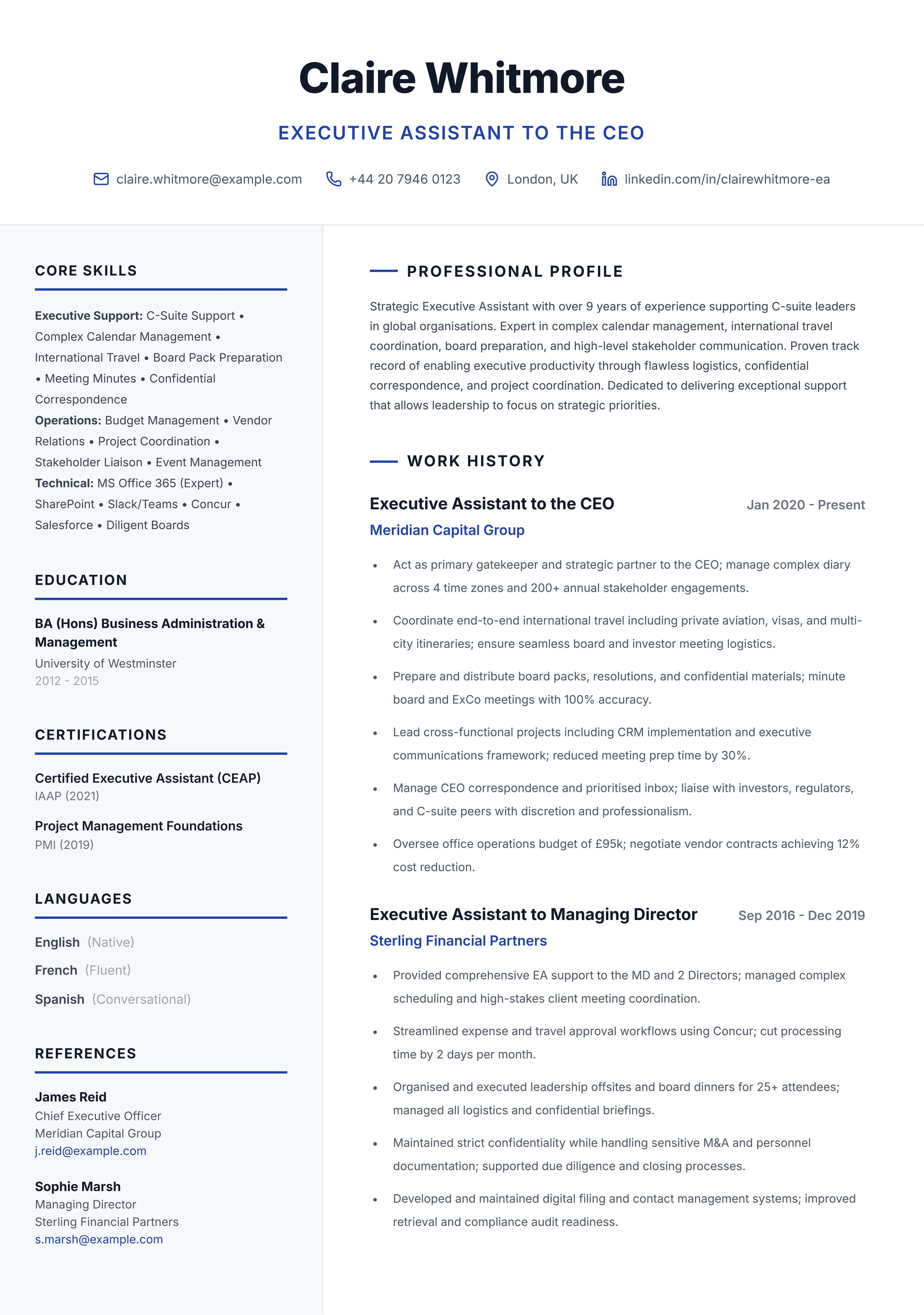 Senior Executive Pro template