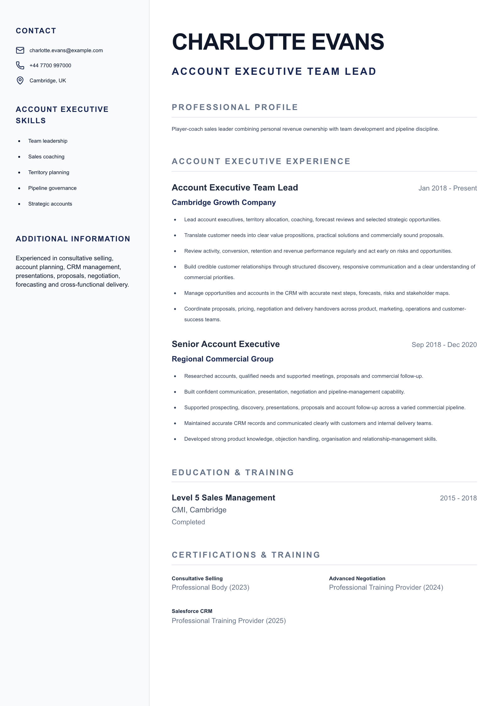Account Executive Team Lead CV template