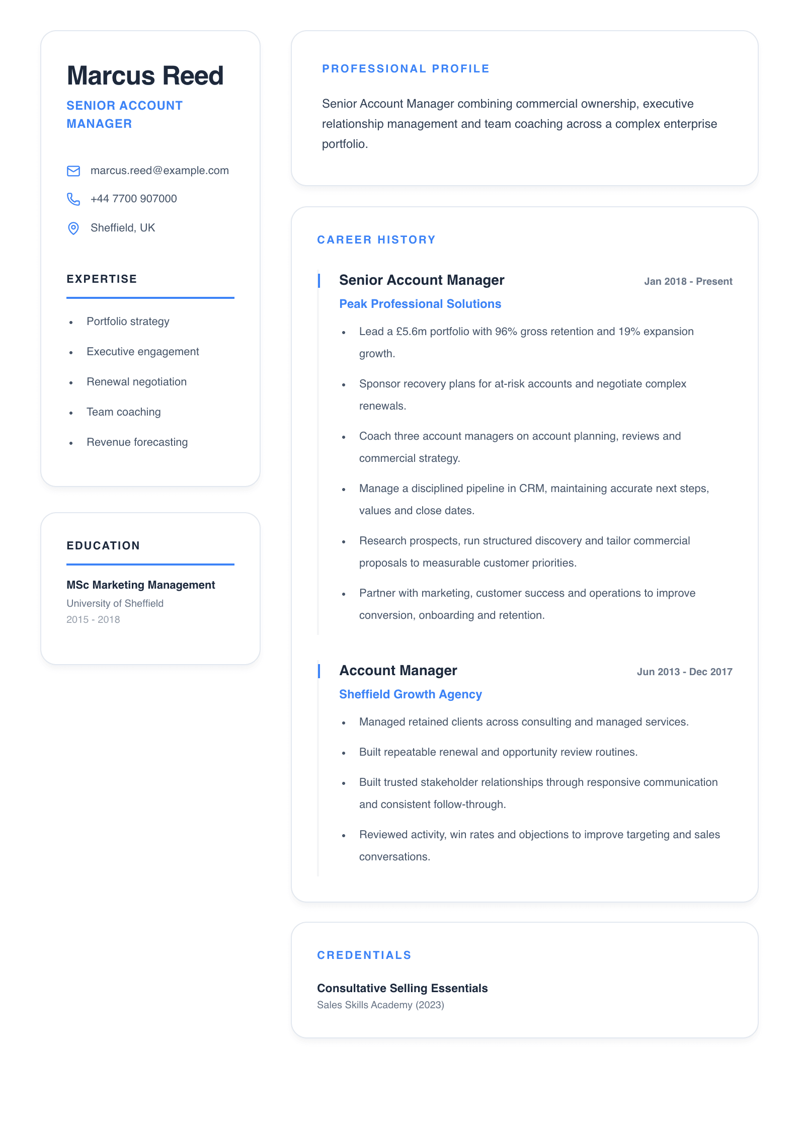Senior Account Manager CV template
