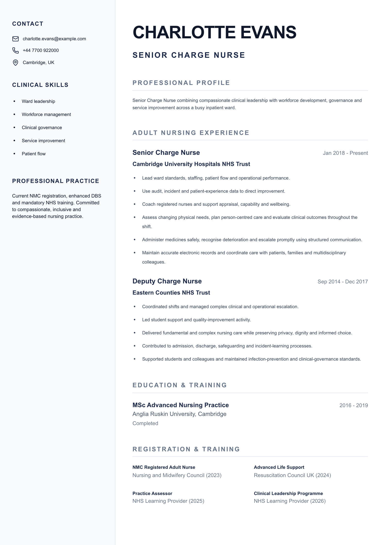 Senior Charge Nurse CV template