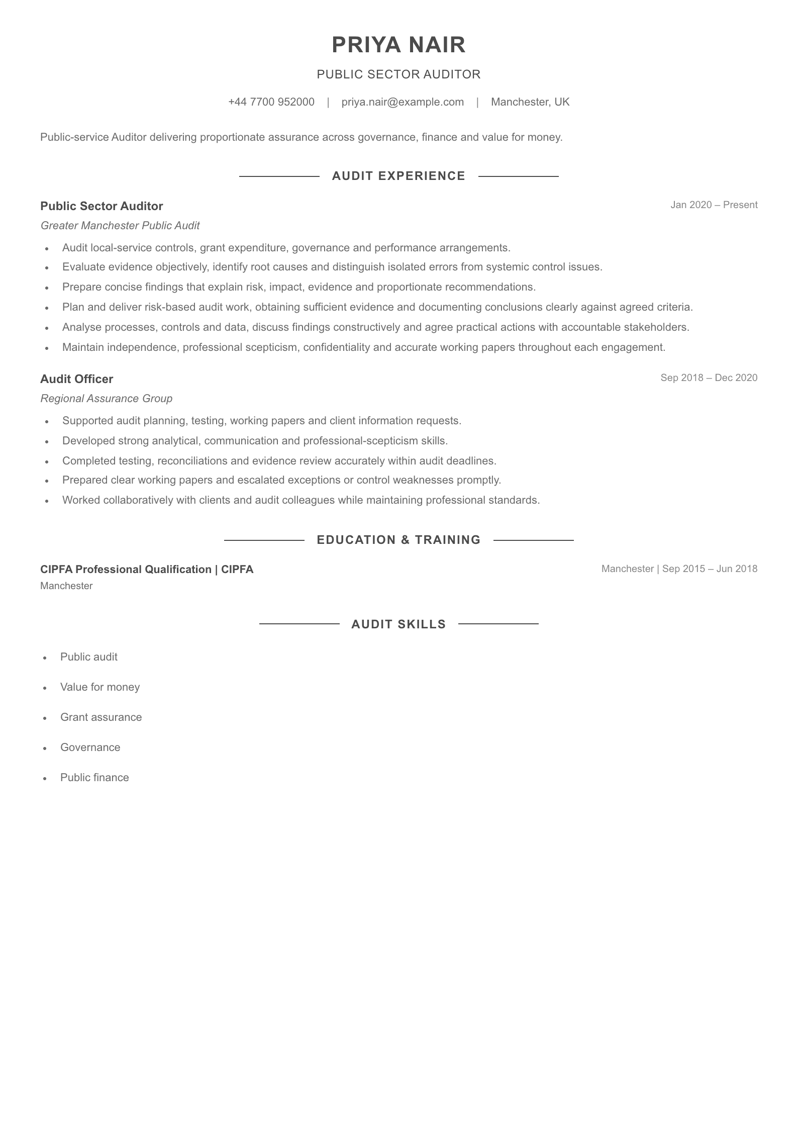 Public Sector Auditor CV template