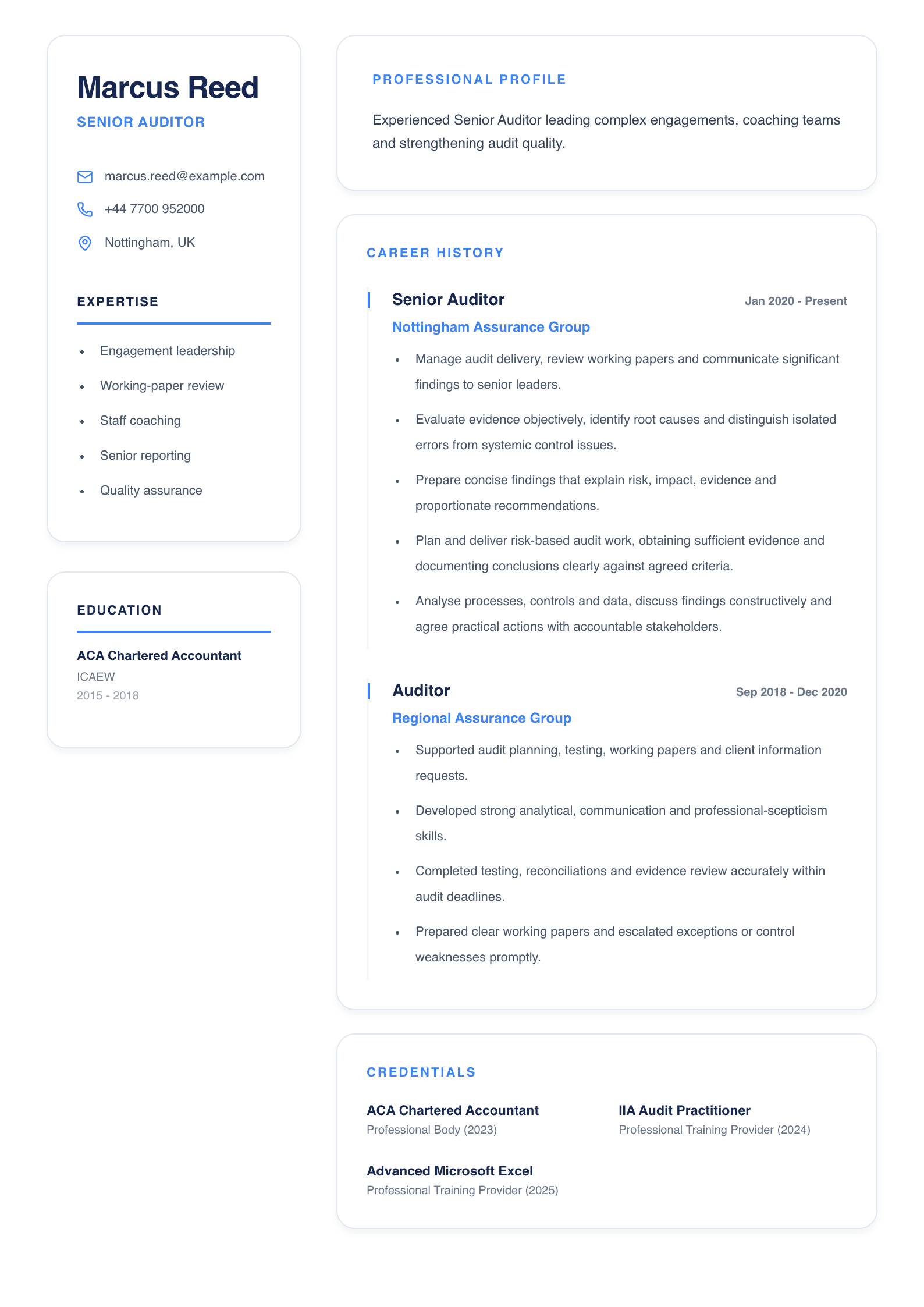 Senior Auditor CV template