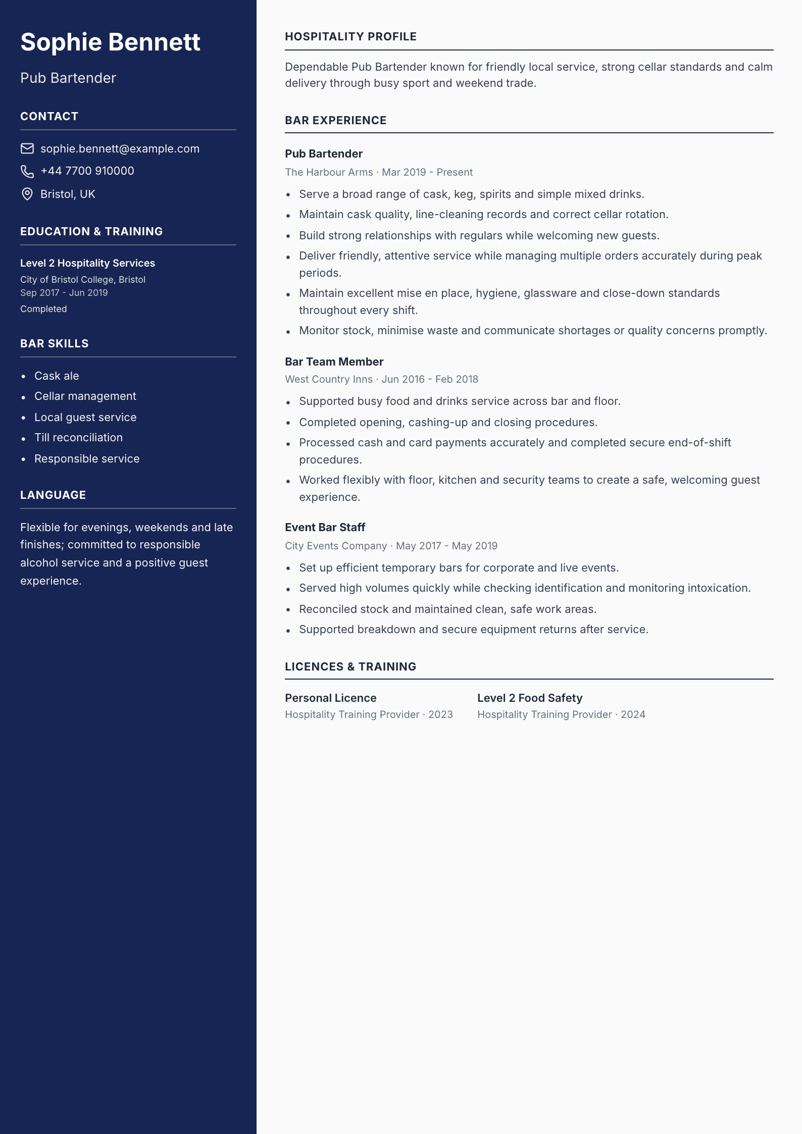 Pub Bartender CV template