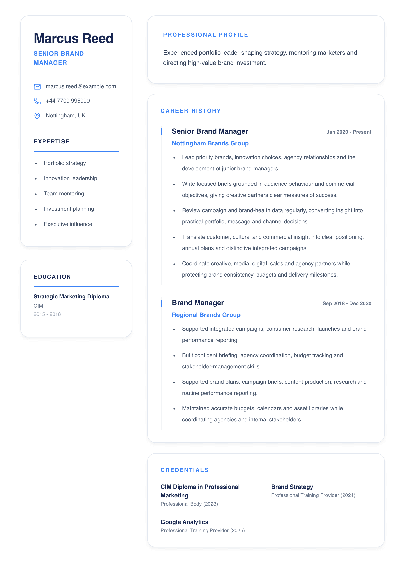 Senior Brand Manager CV template