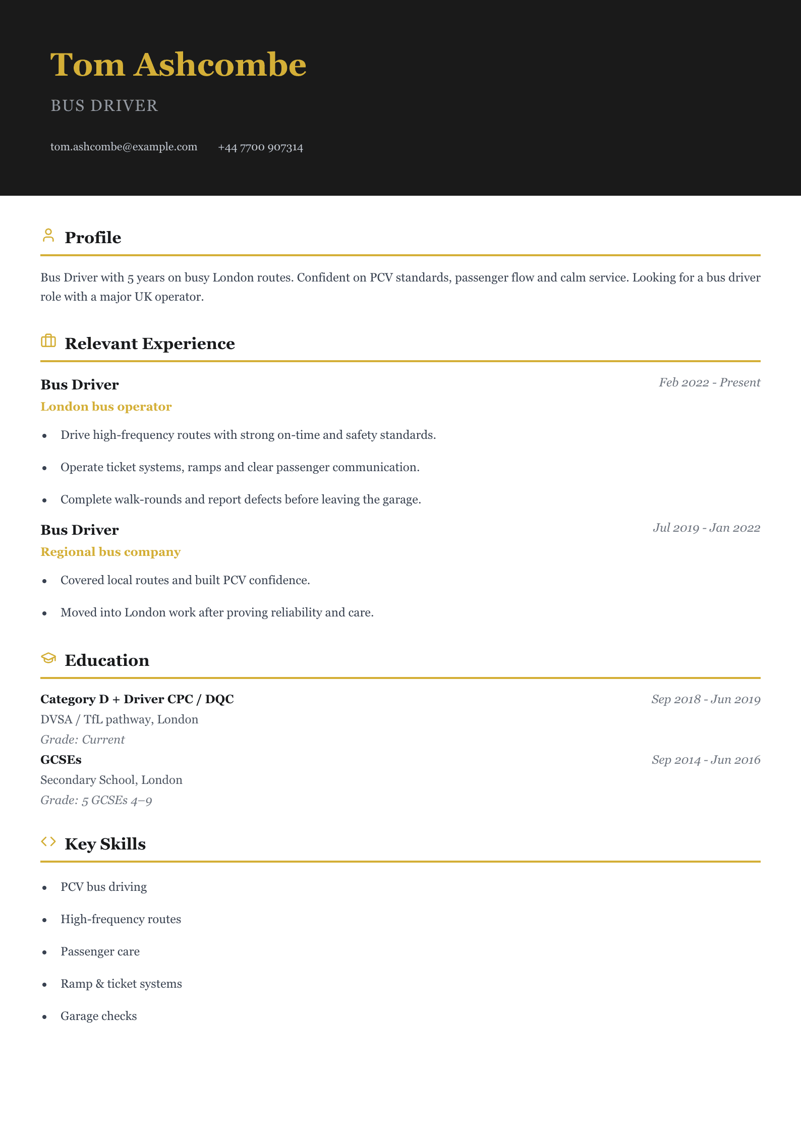bus driver CV template