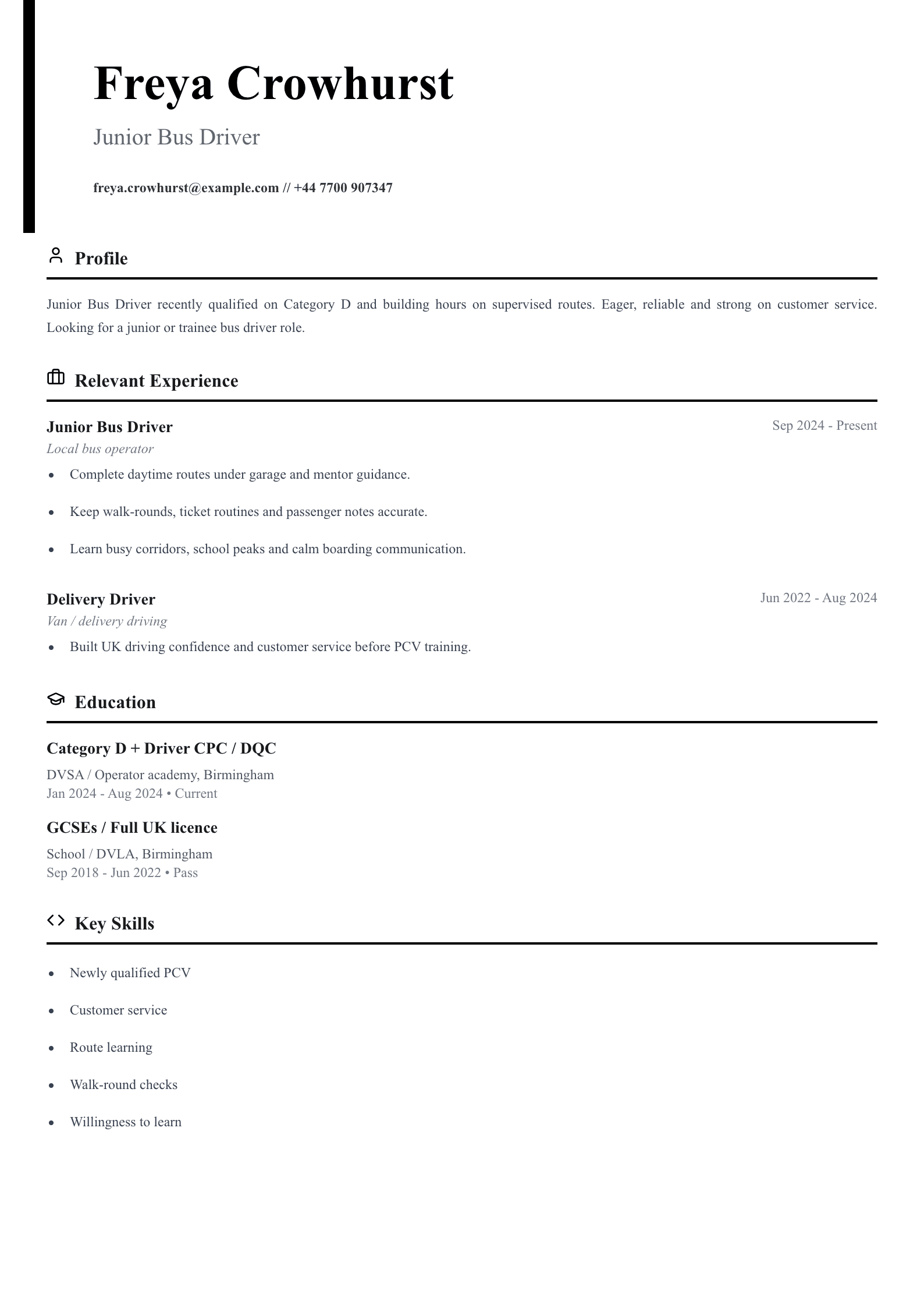 junior bus driver CV template