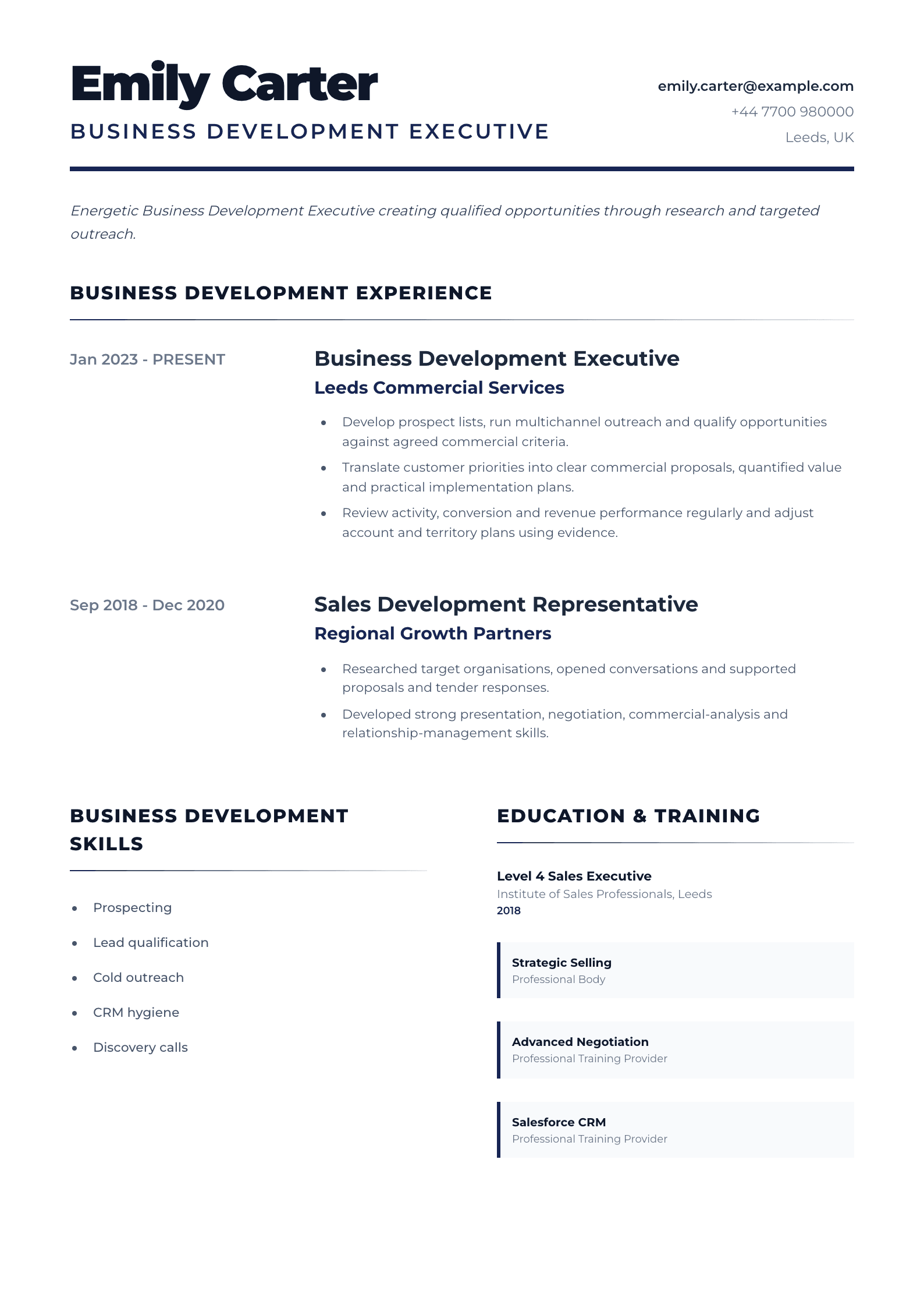 Business Development Executive CV template