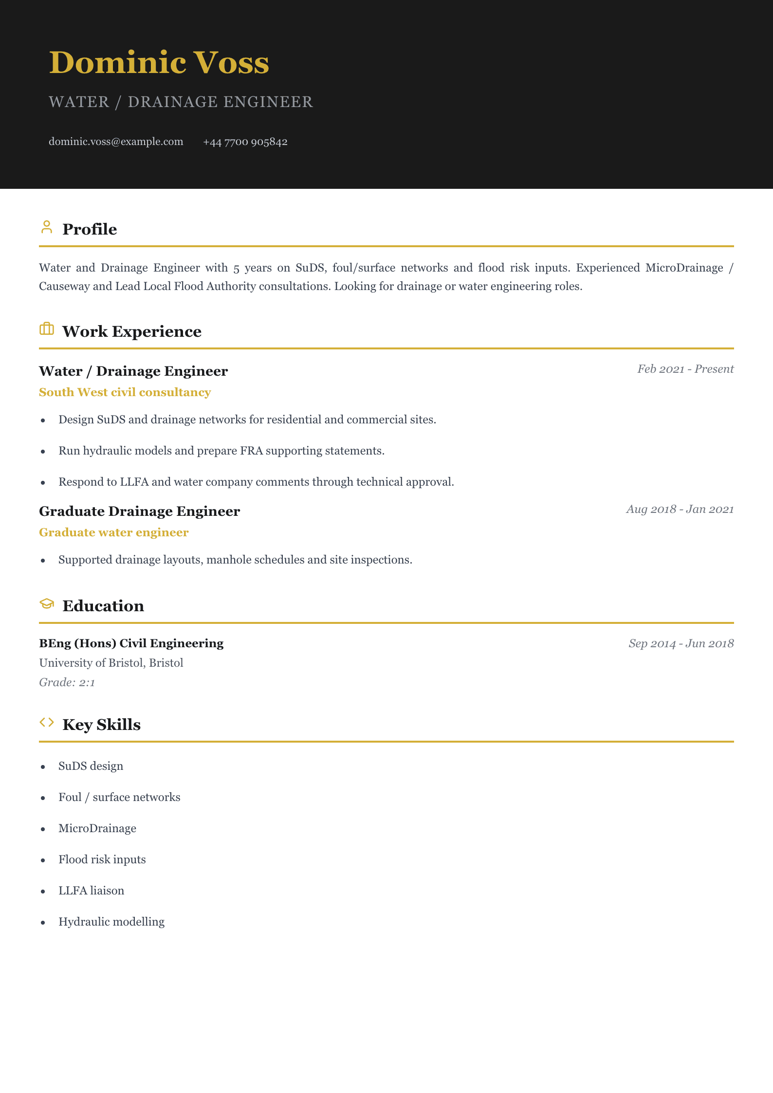 water drainage engineer cv template