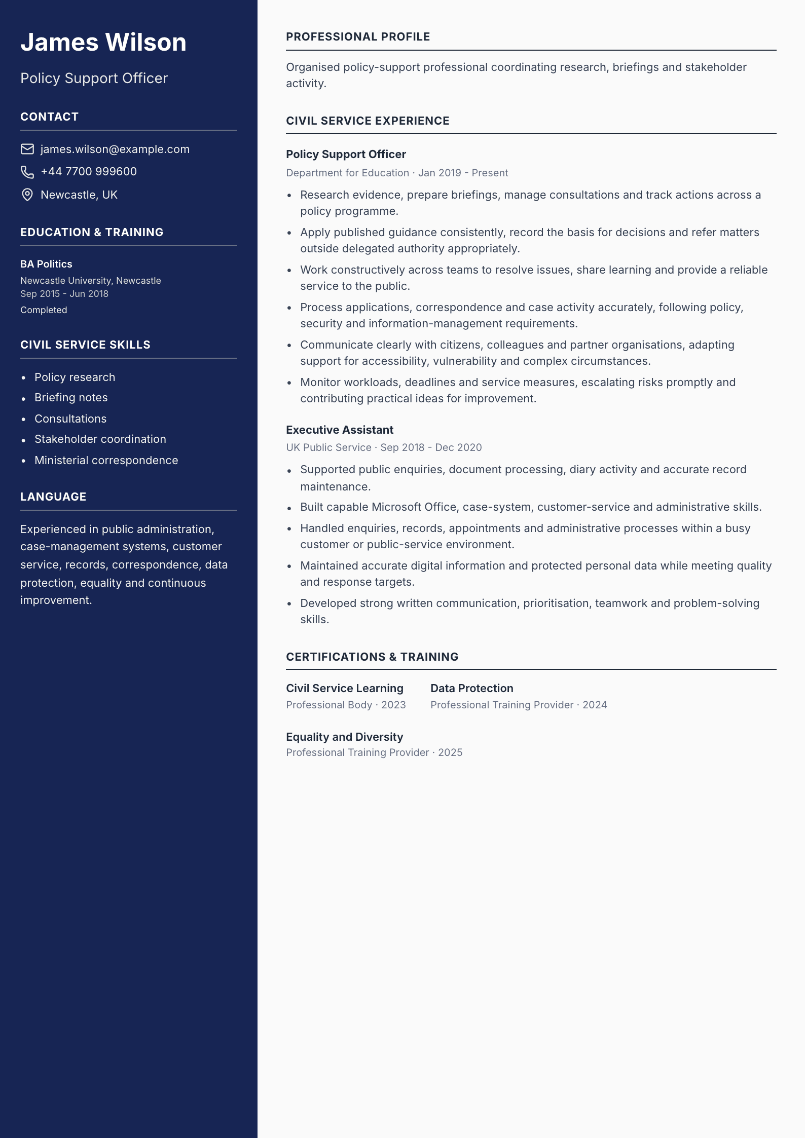 Policy Support Officer CV template