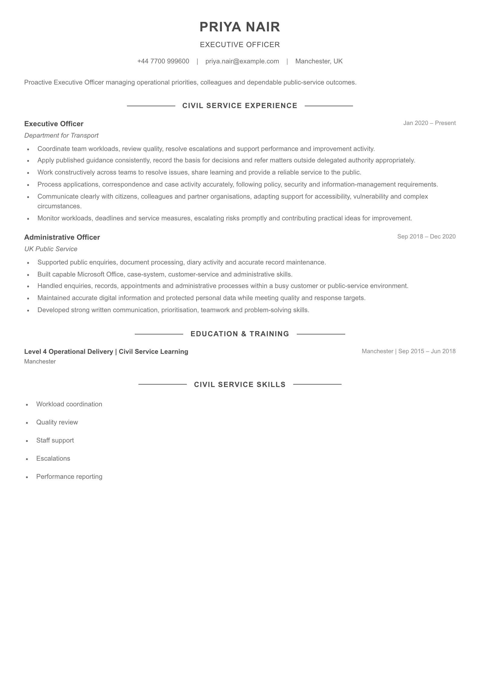 Executive Officer CV template