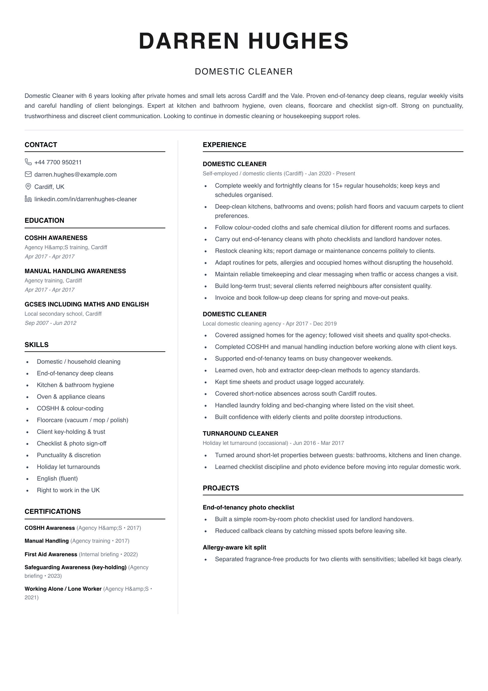 domestic cleaner cv template