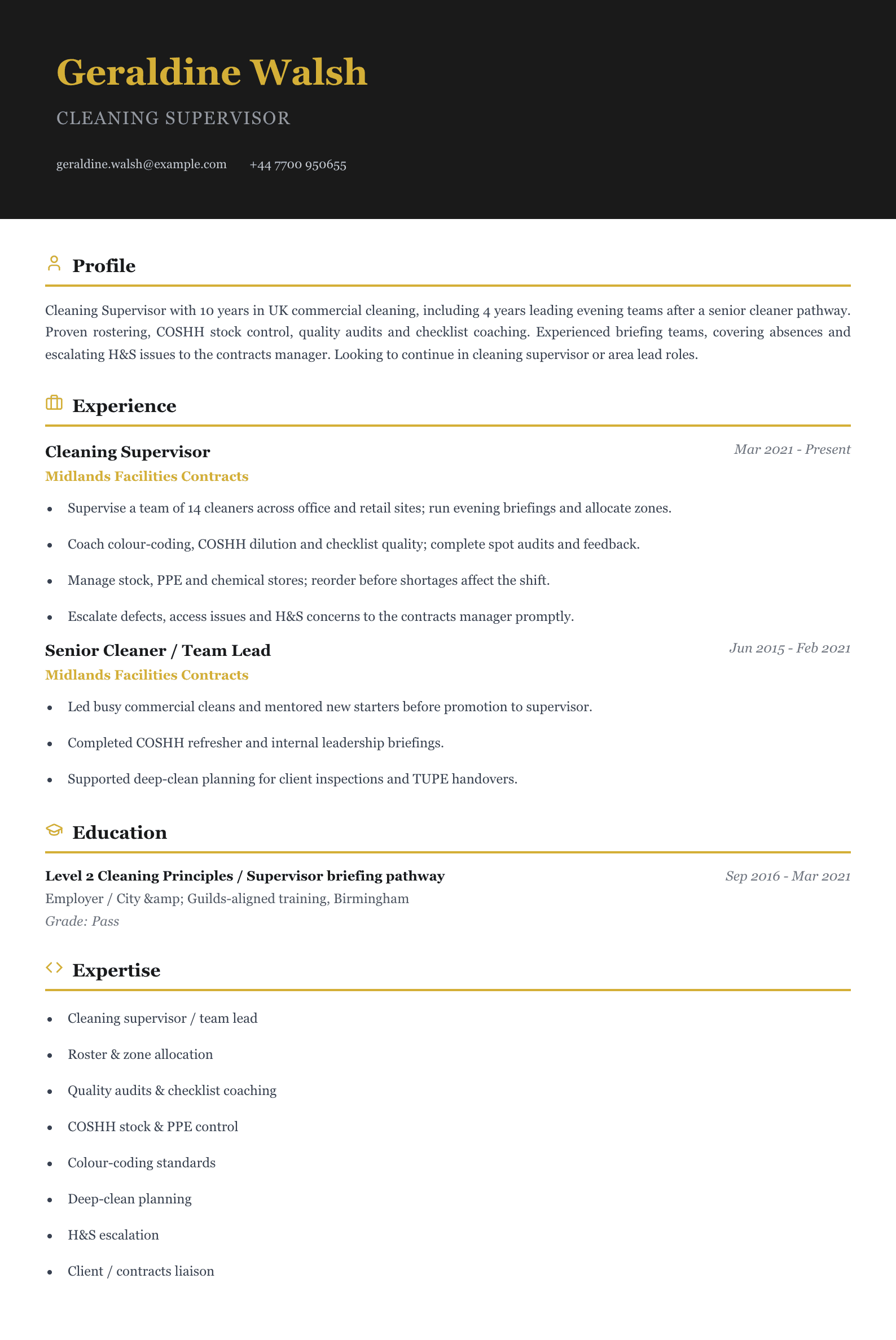 cleaning supervisor cv template