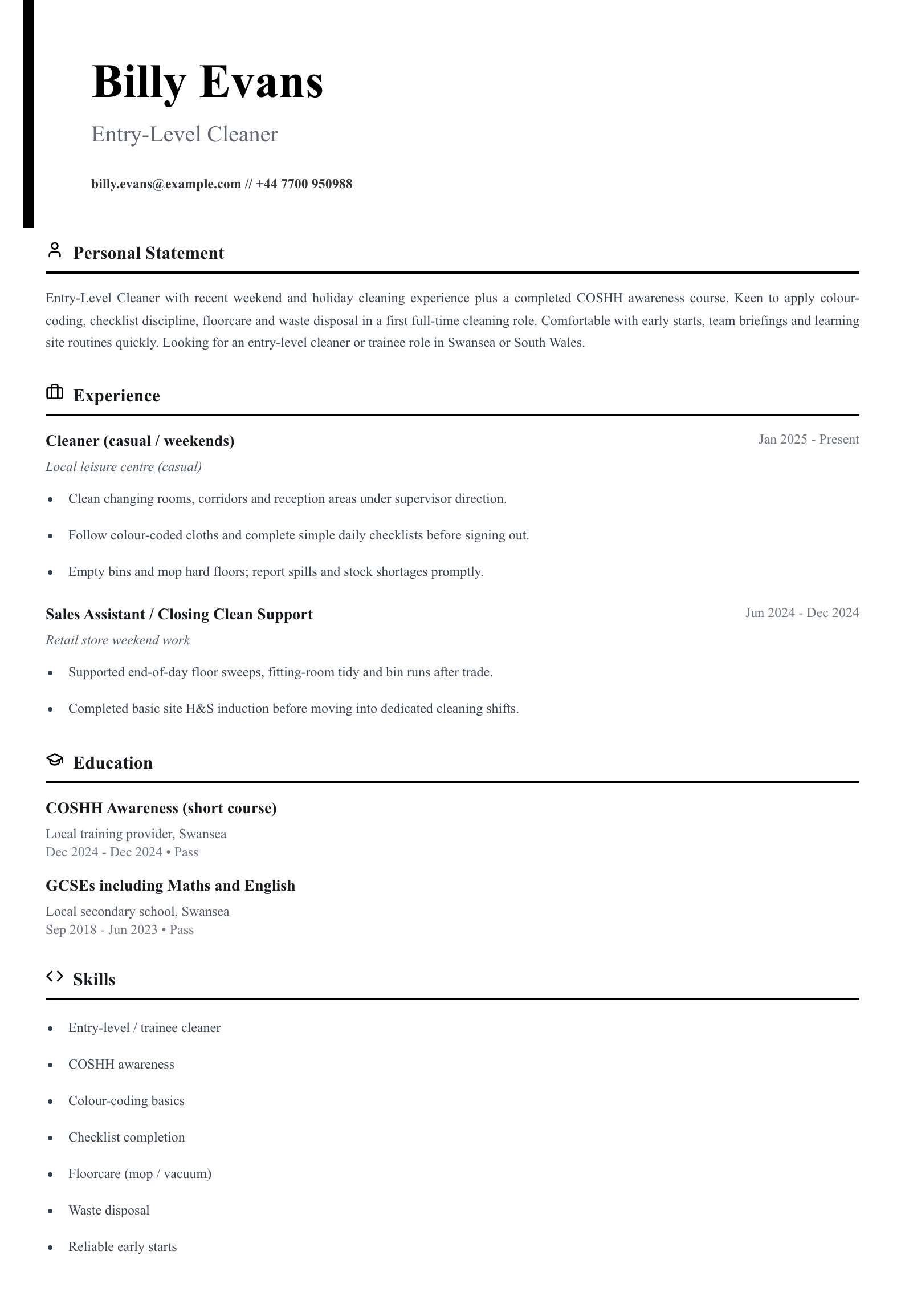 entry level cleaner cv template