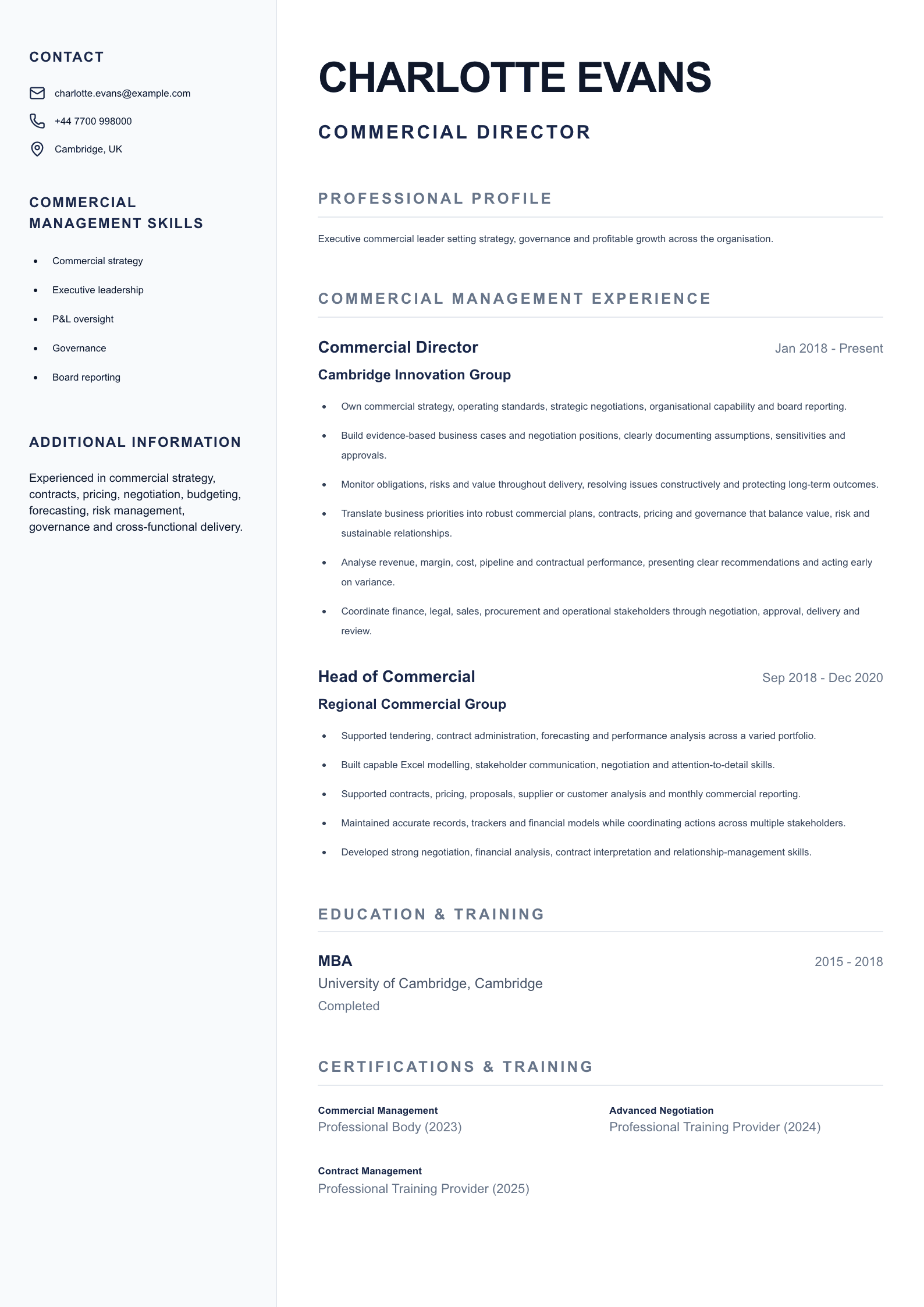 Commercial Director CV template