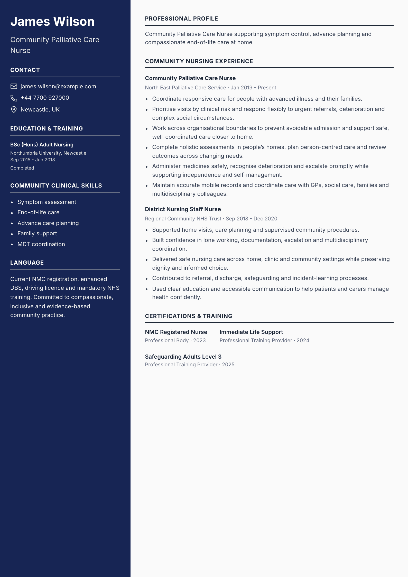 Community Palliative Care Nurse CV template