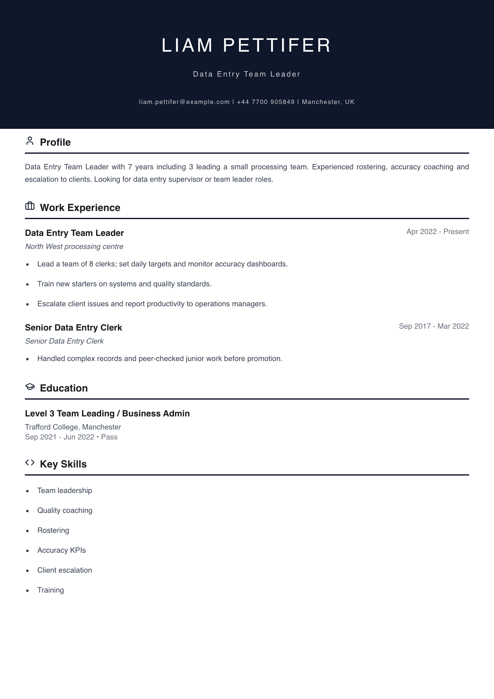data entry team leader cv template