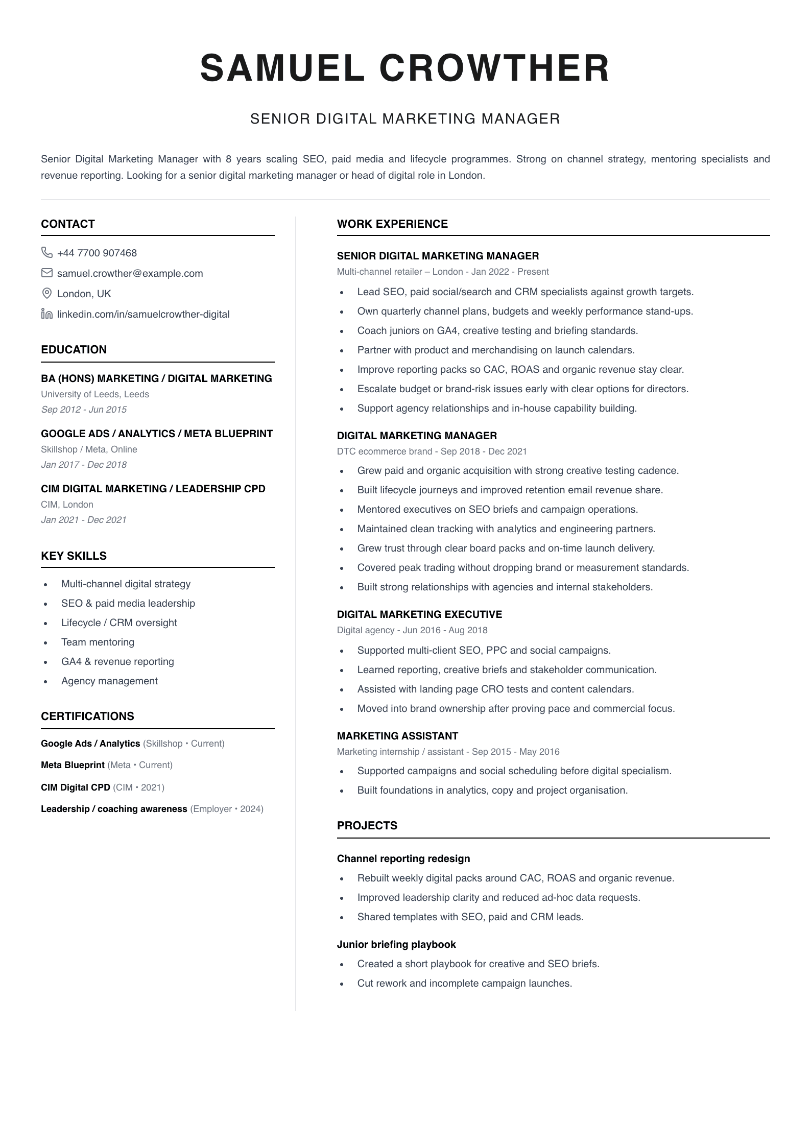 senior digital marketing manager CV template