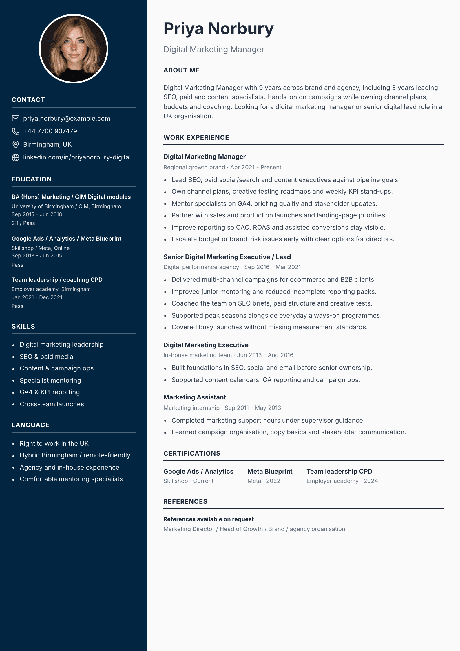 Digital marketing manager CV template