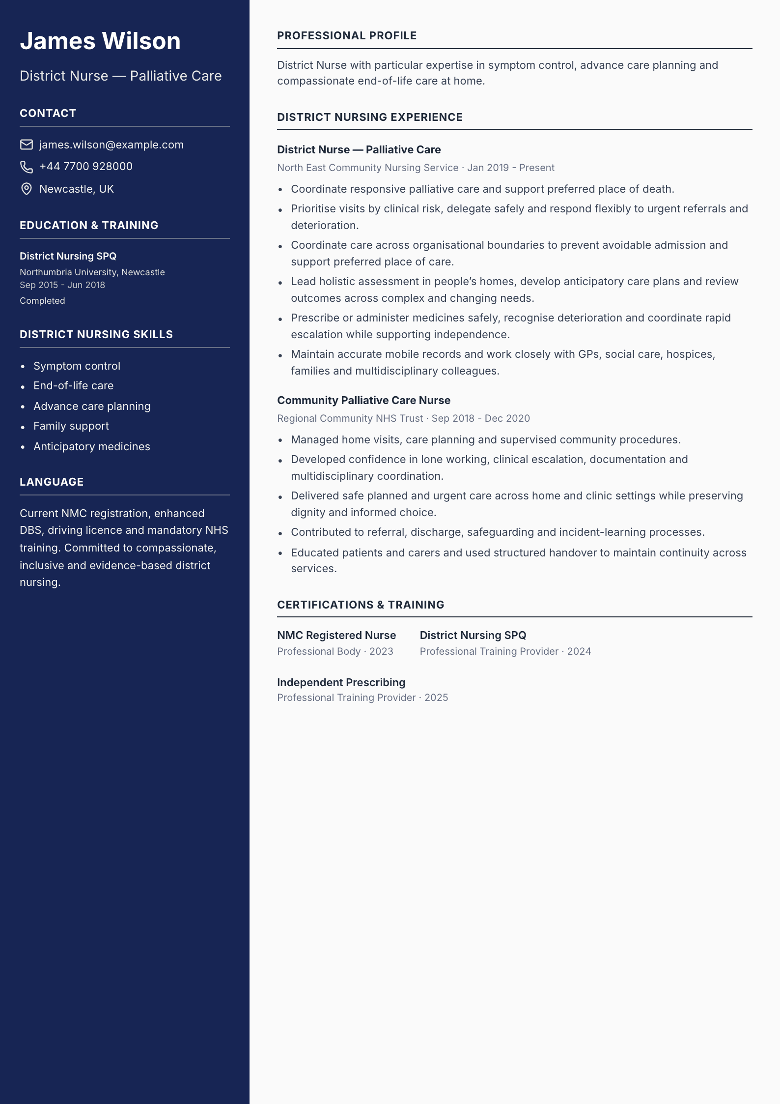 District Nurse — Palliative Care CV template