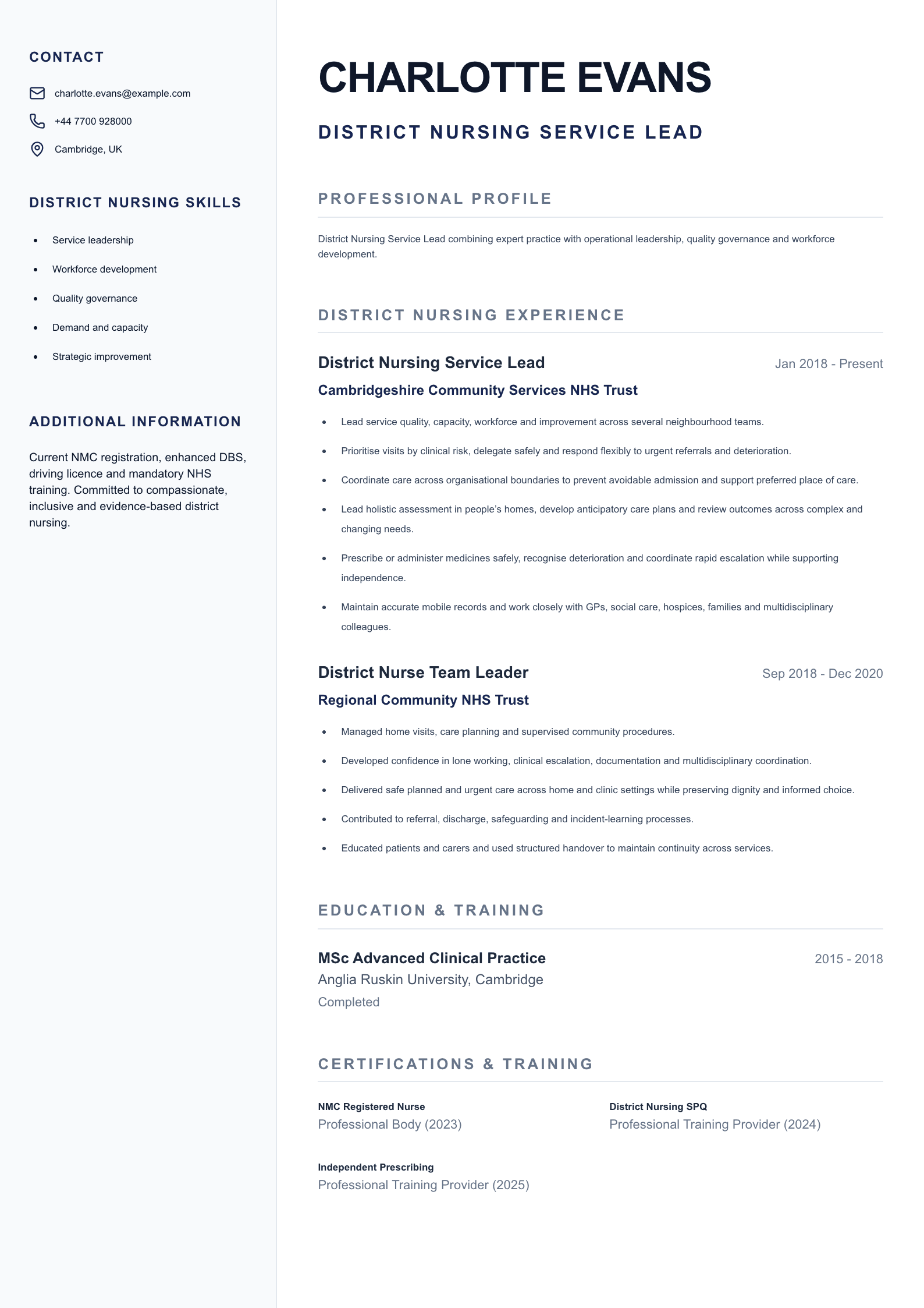 District Nursing Service Lead CV template
