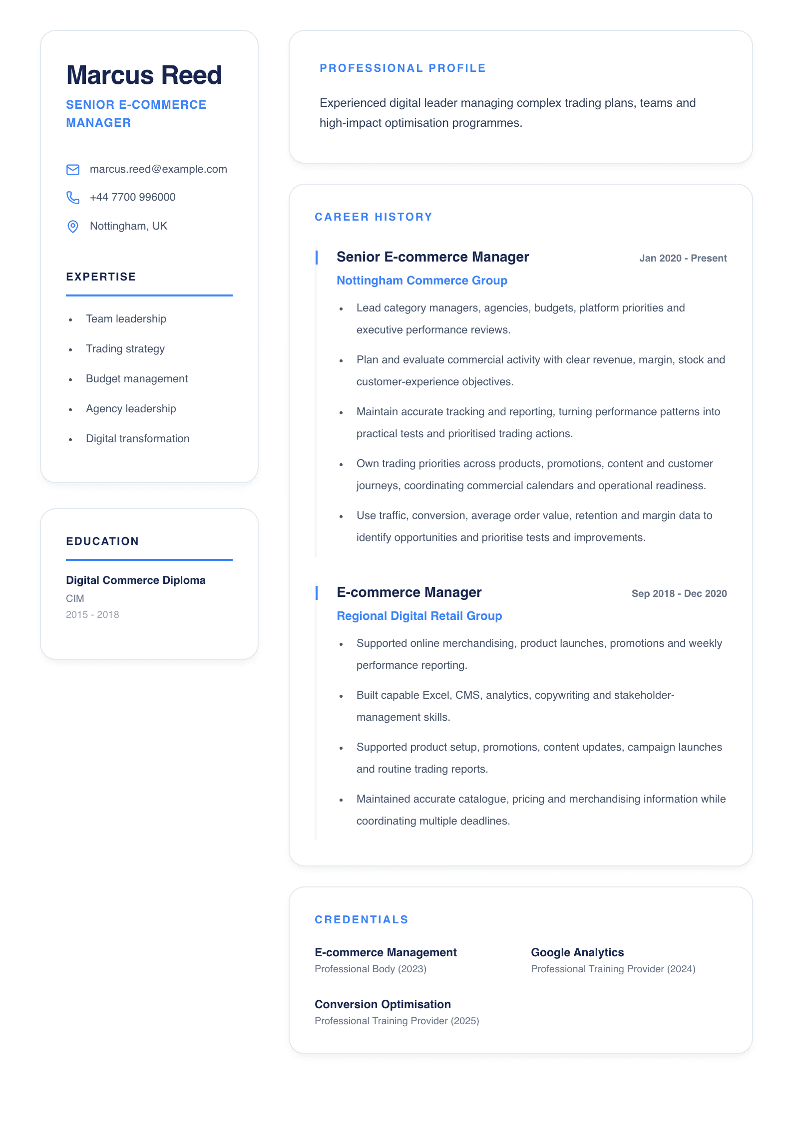 Senior E-commerce Manager CV template