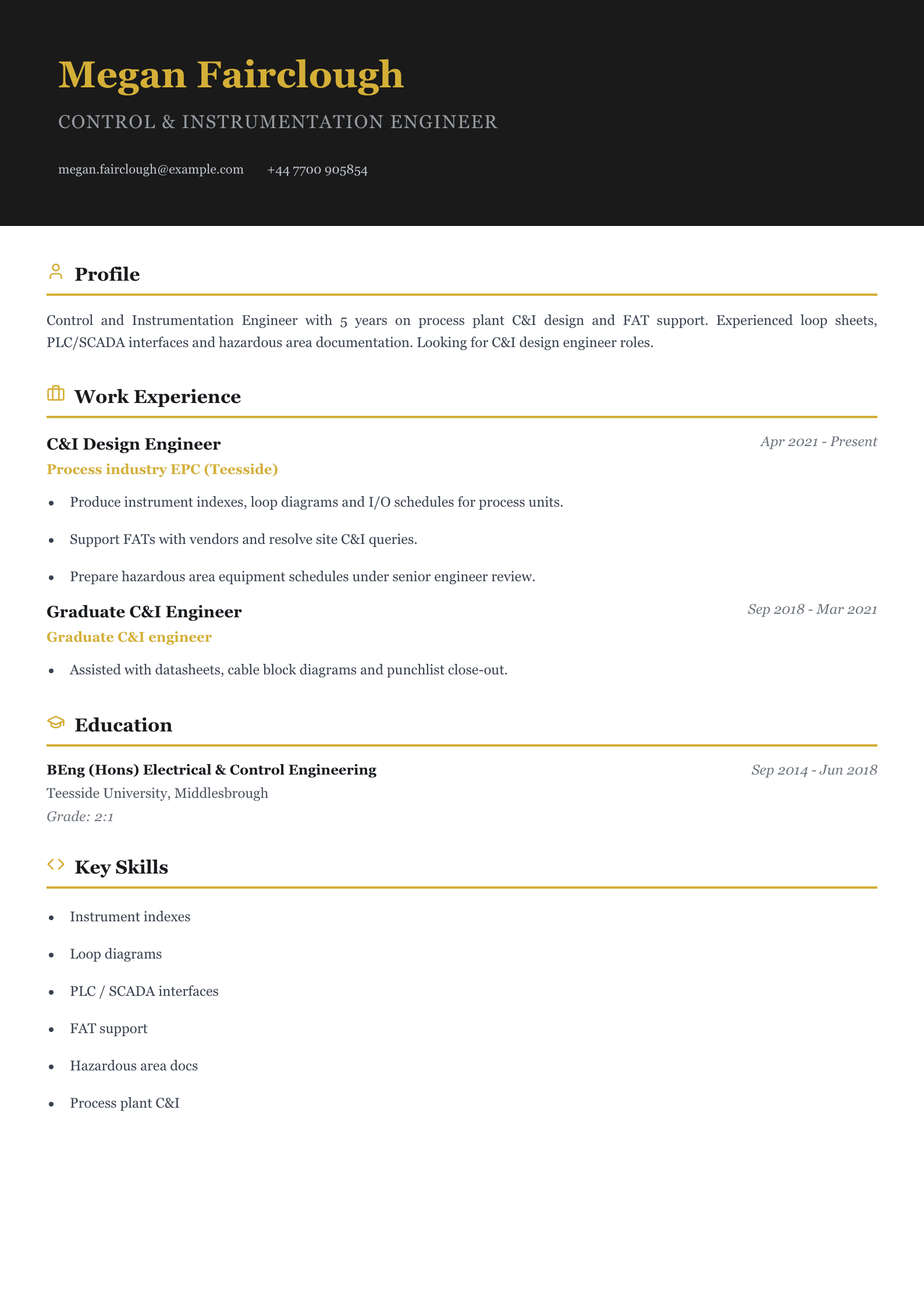 control instrumentation engineer cv template