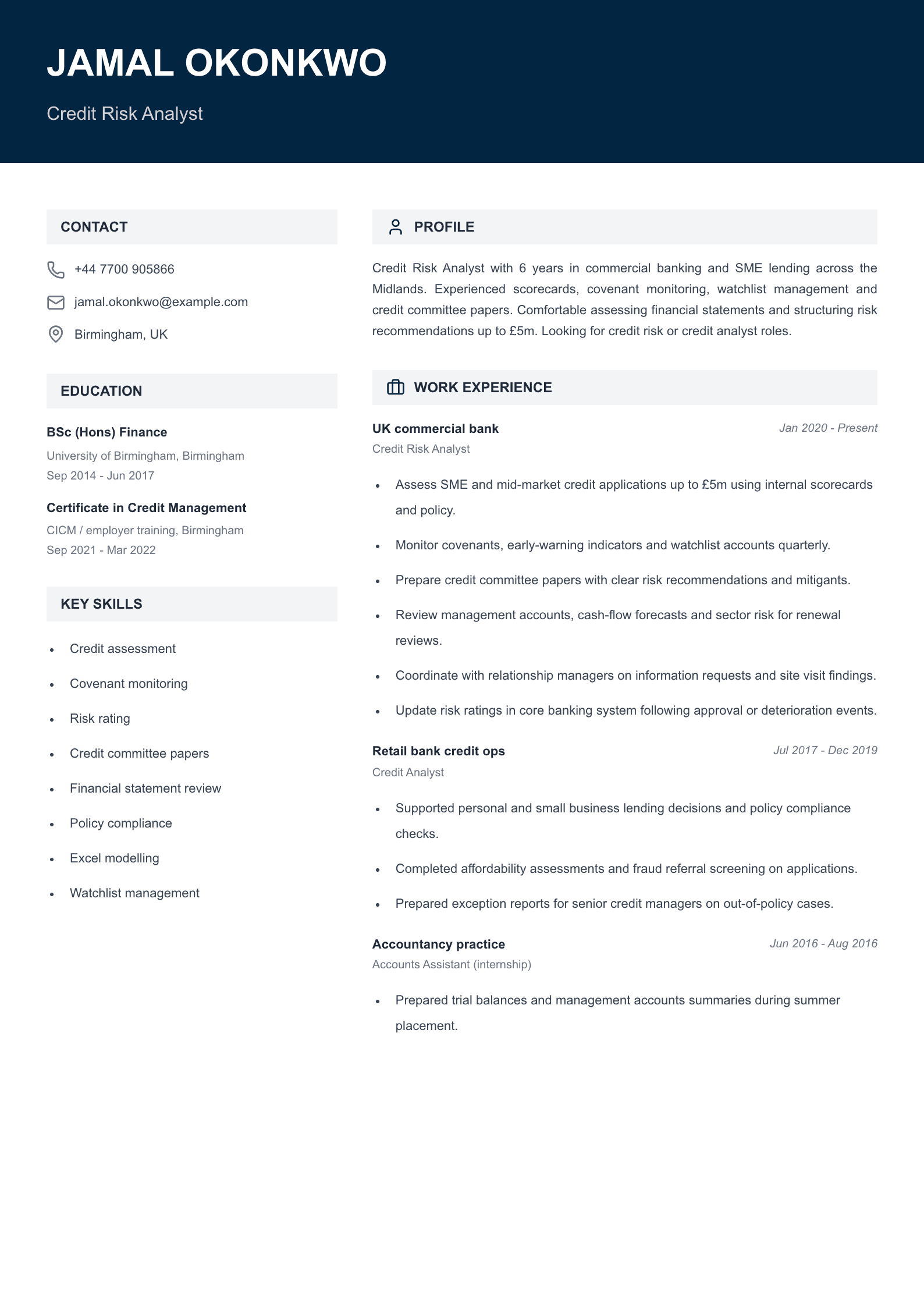 credit risk analyst cv template
