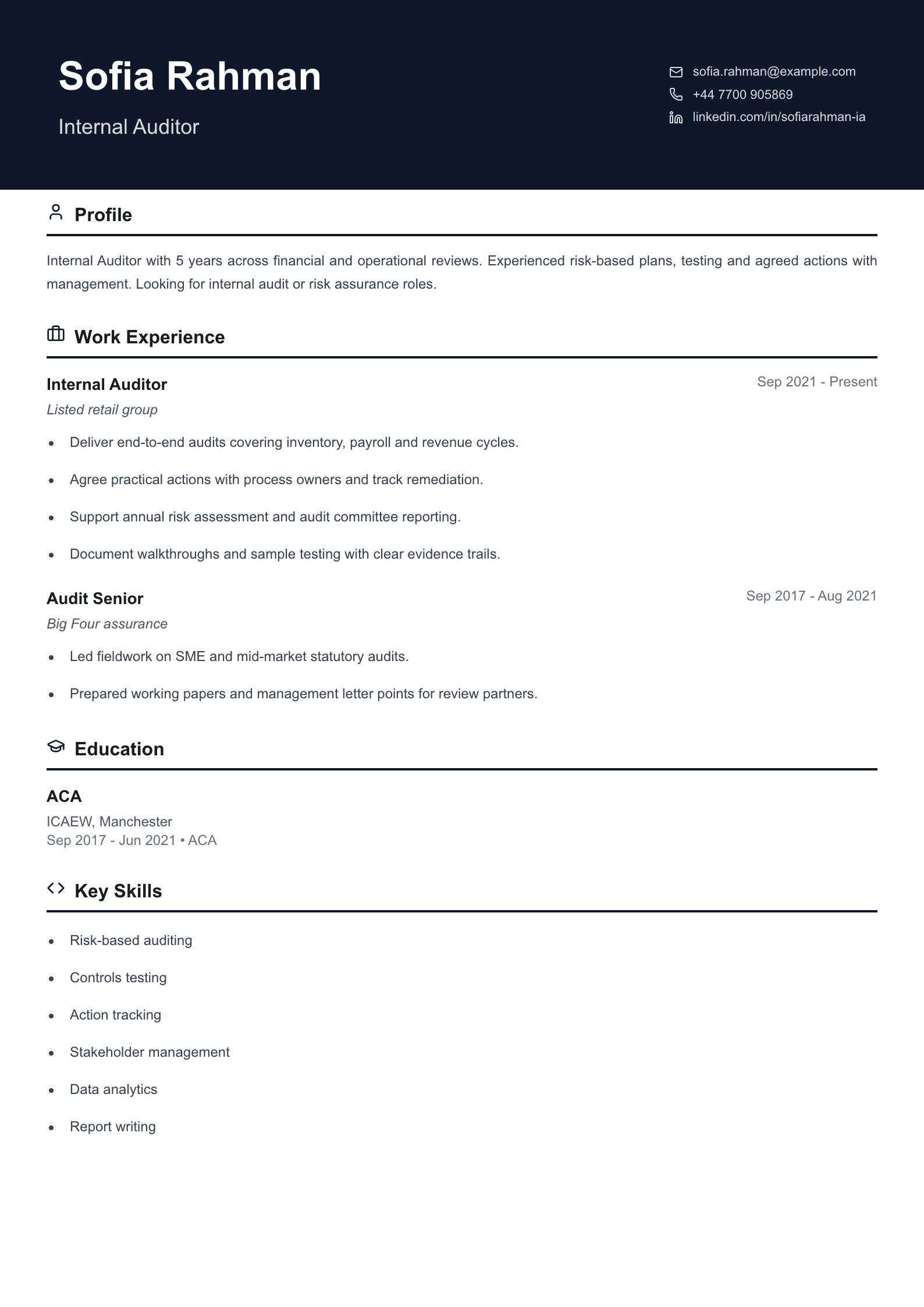 internal auditor cv template