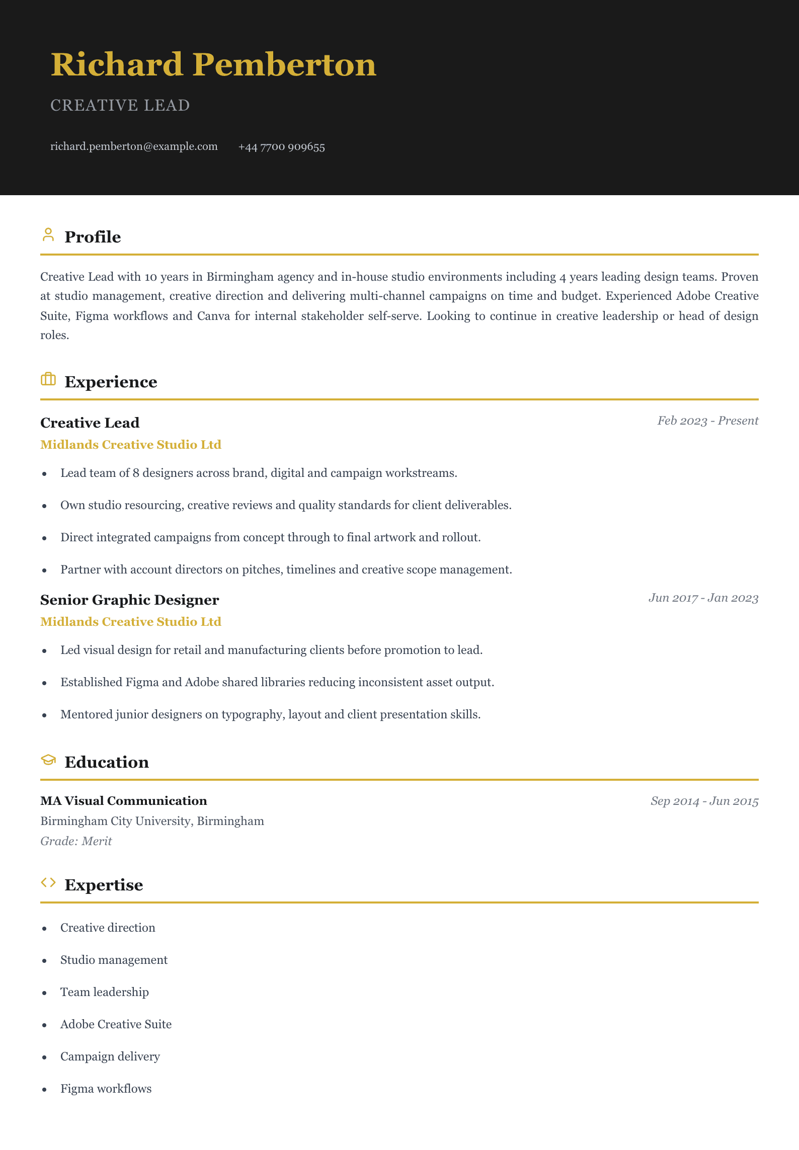 creative lead cv template