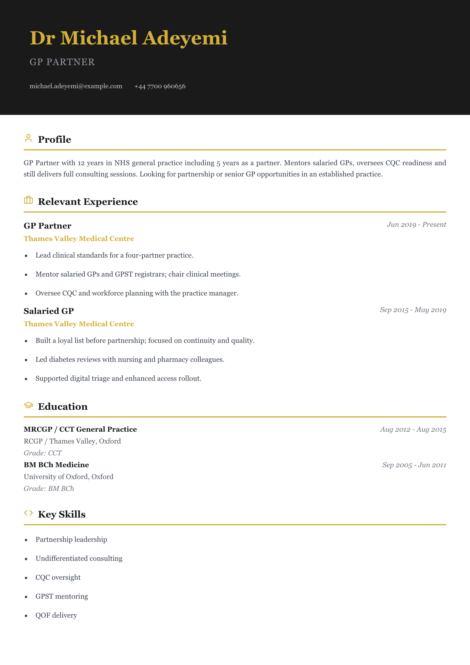 practice GP partner CV template