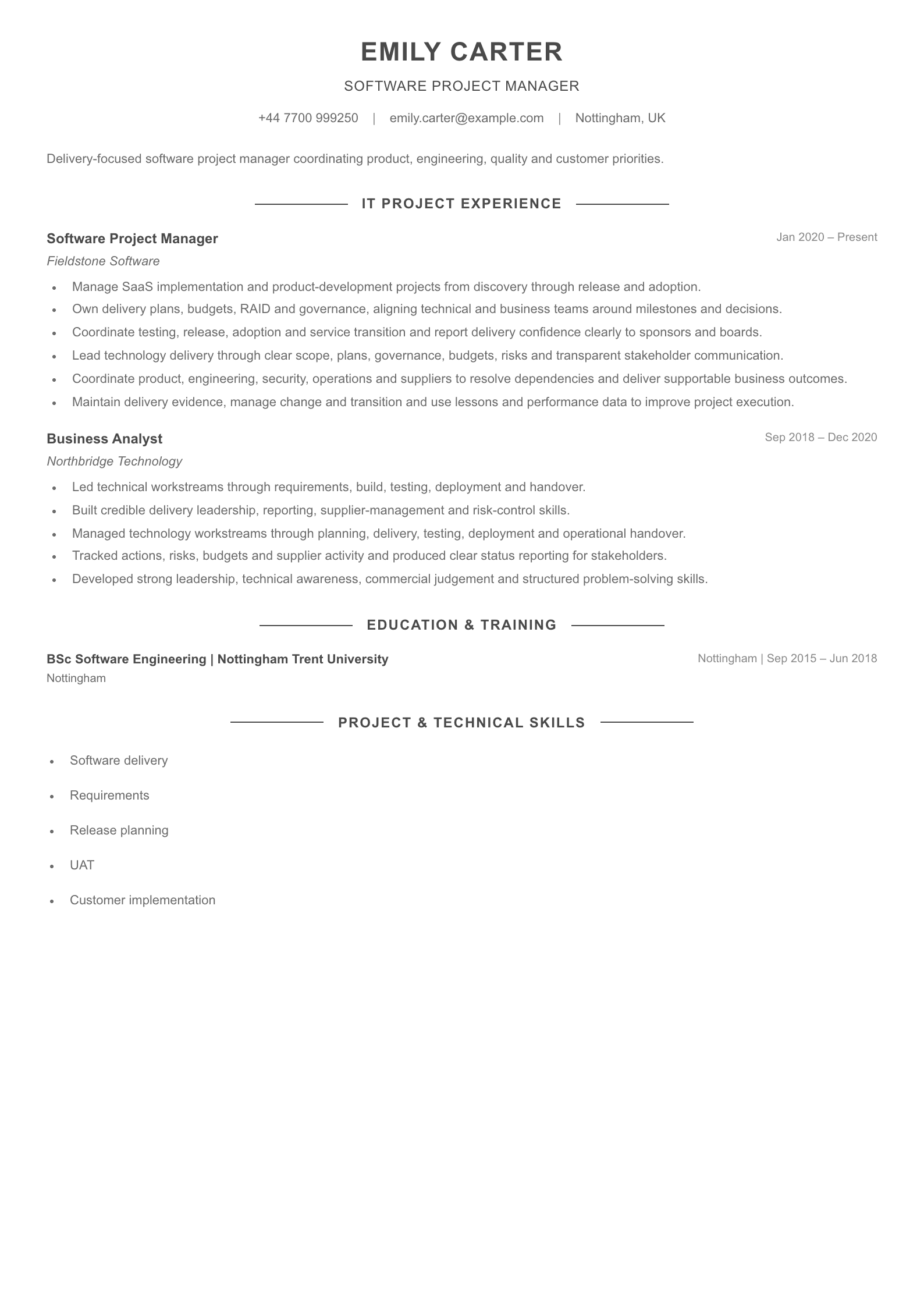 Software Project Manager CV template