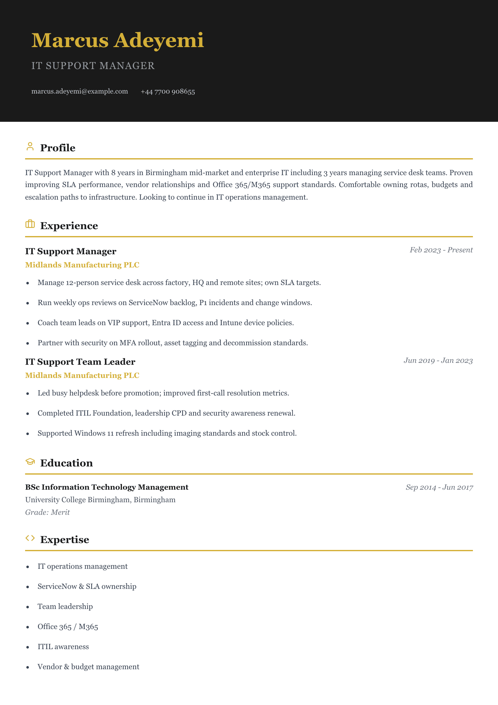IT support manager cv template