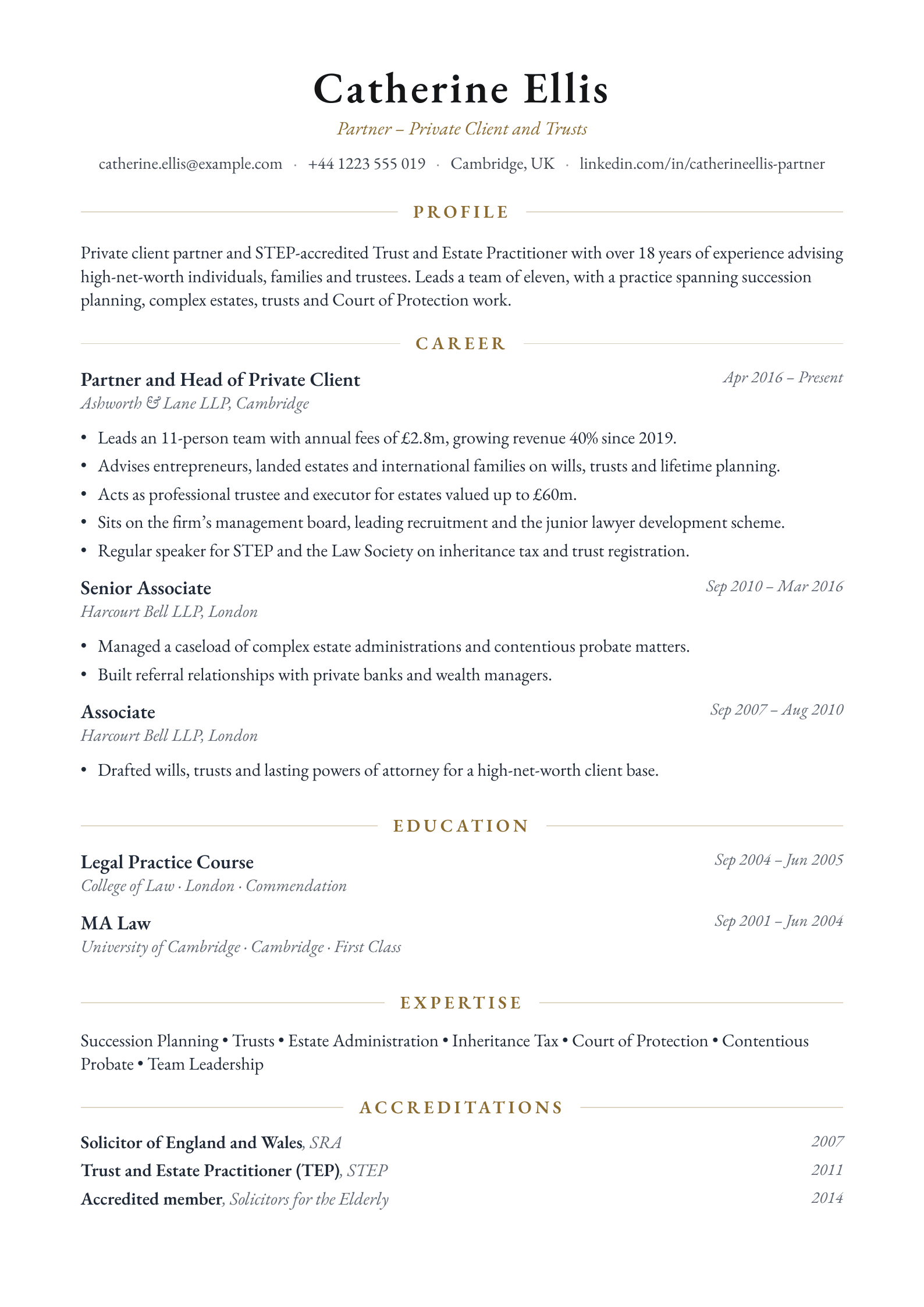 Partner CV template