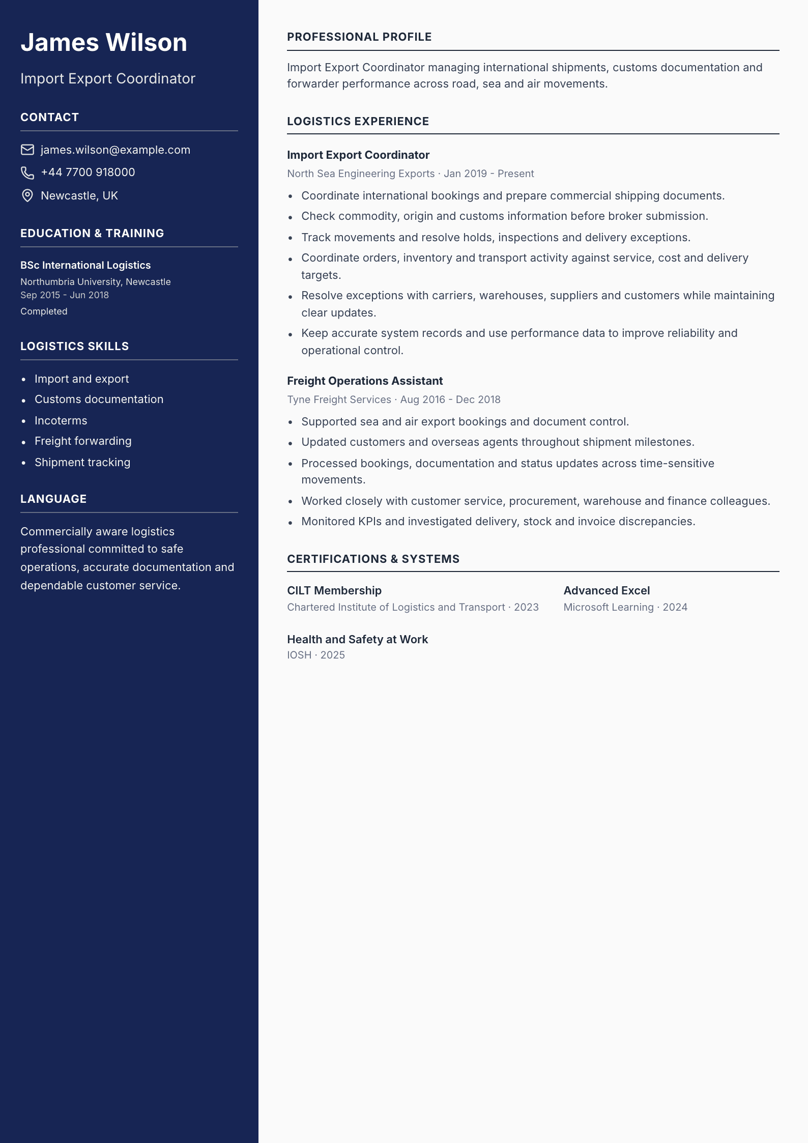 Import Export Coordinator CV template