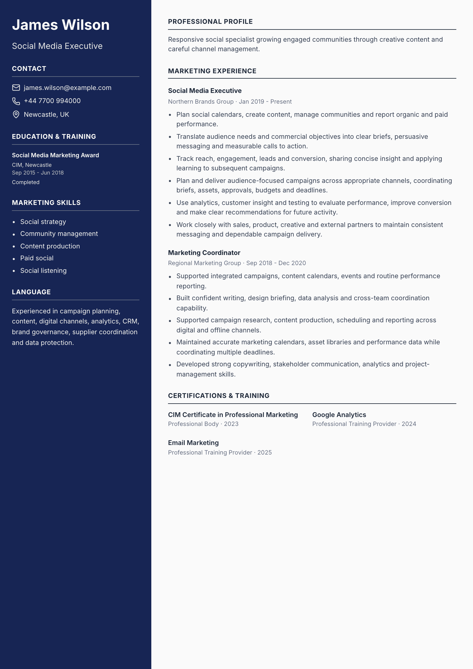 Social Media Executive CV template