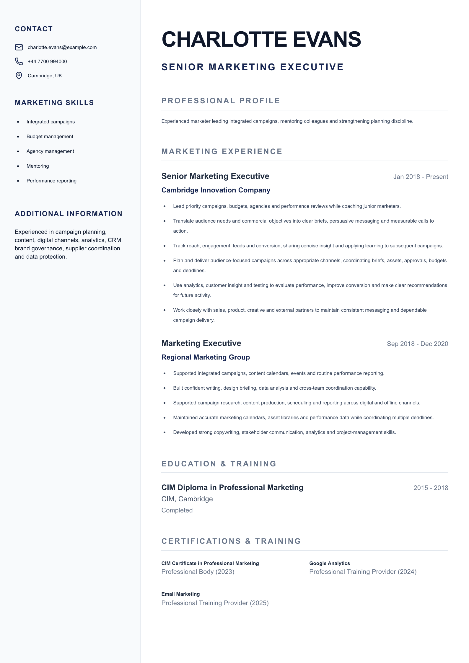 Senior Marketing Executive CV template