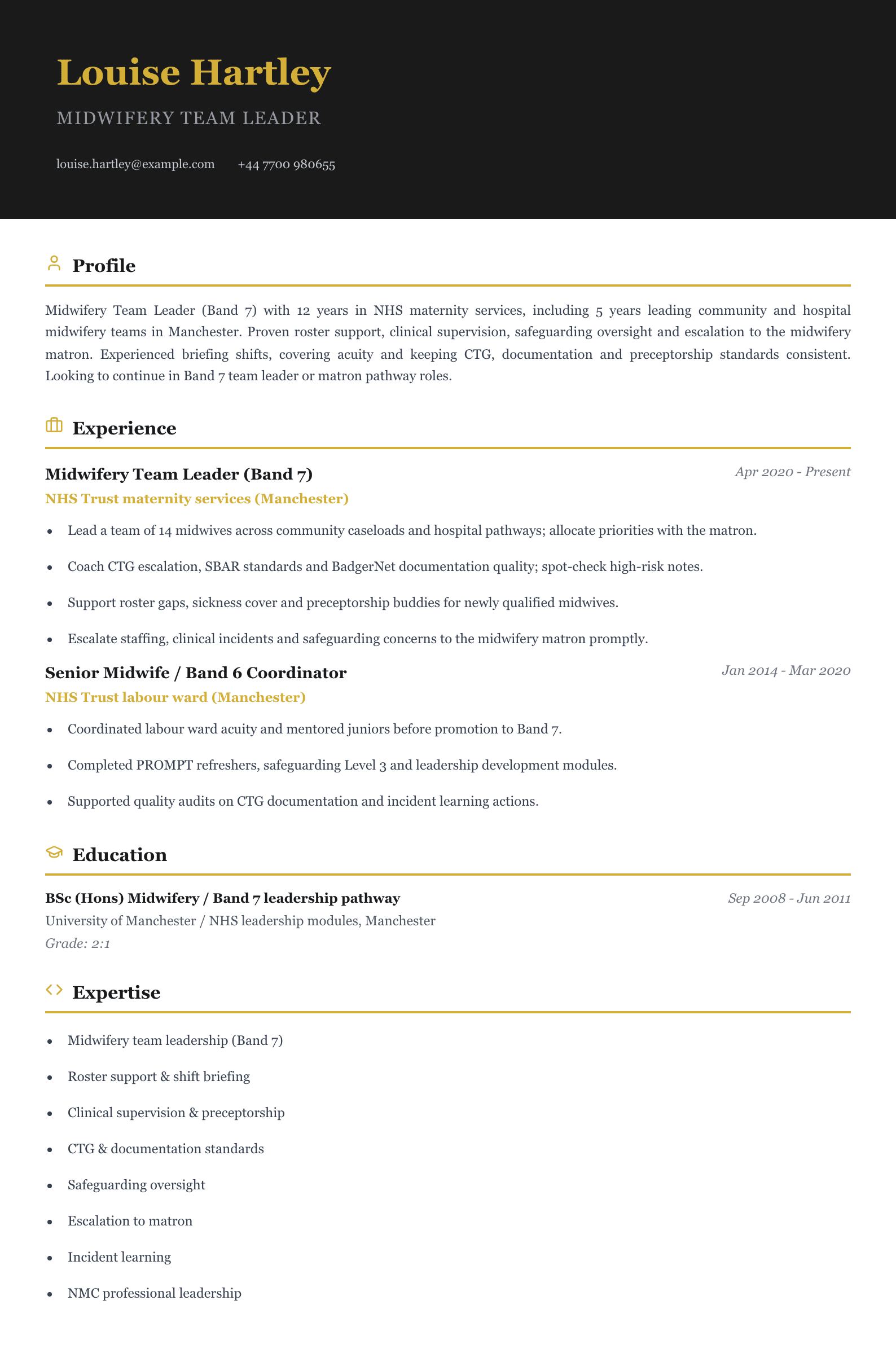 midwifery team leader cv template