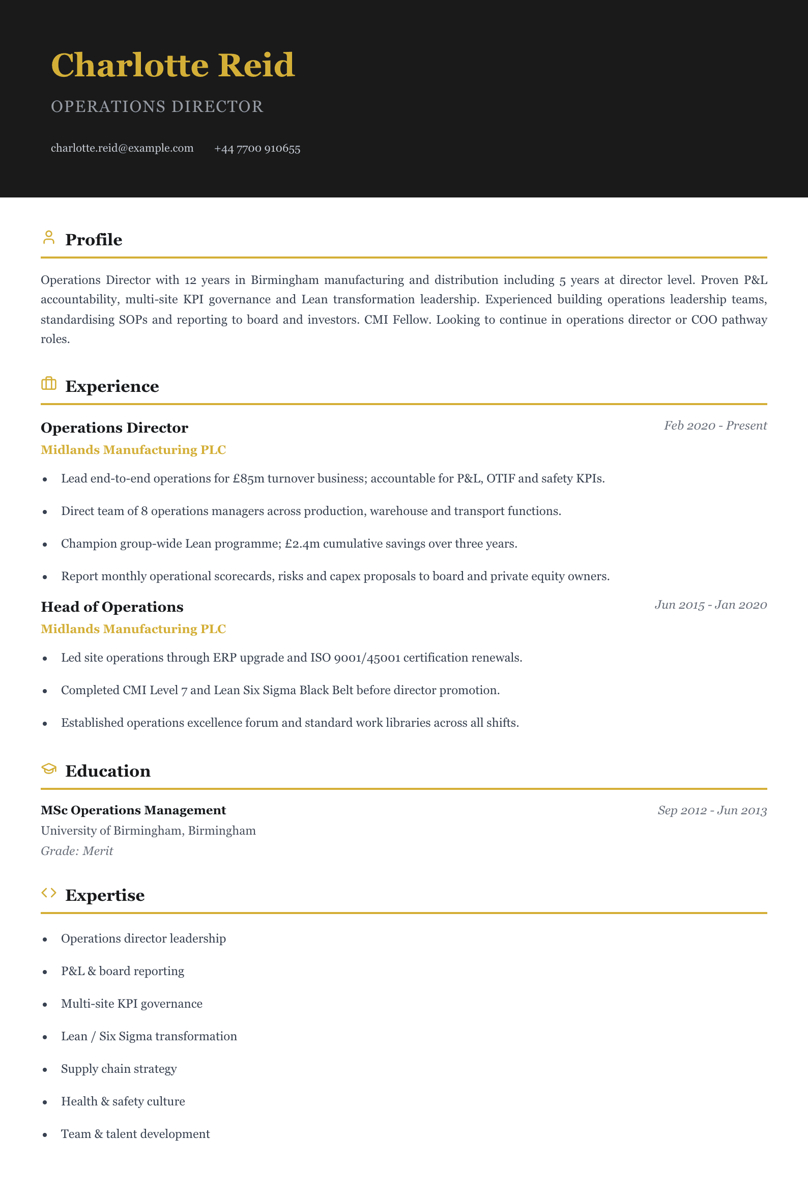 operations director cv template
