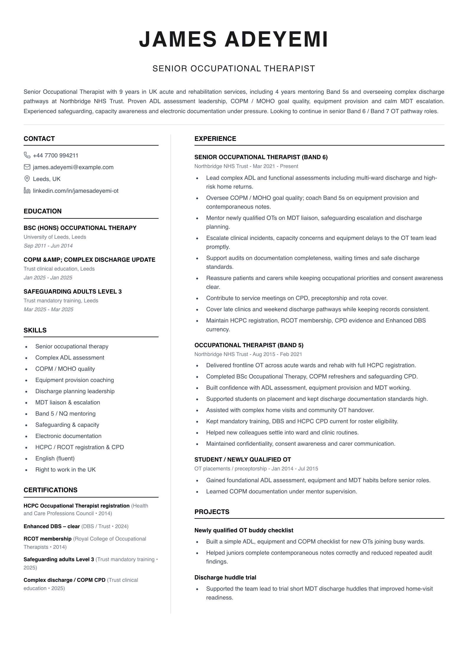 senior occupational therapist cv template