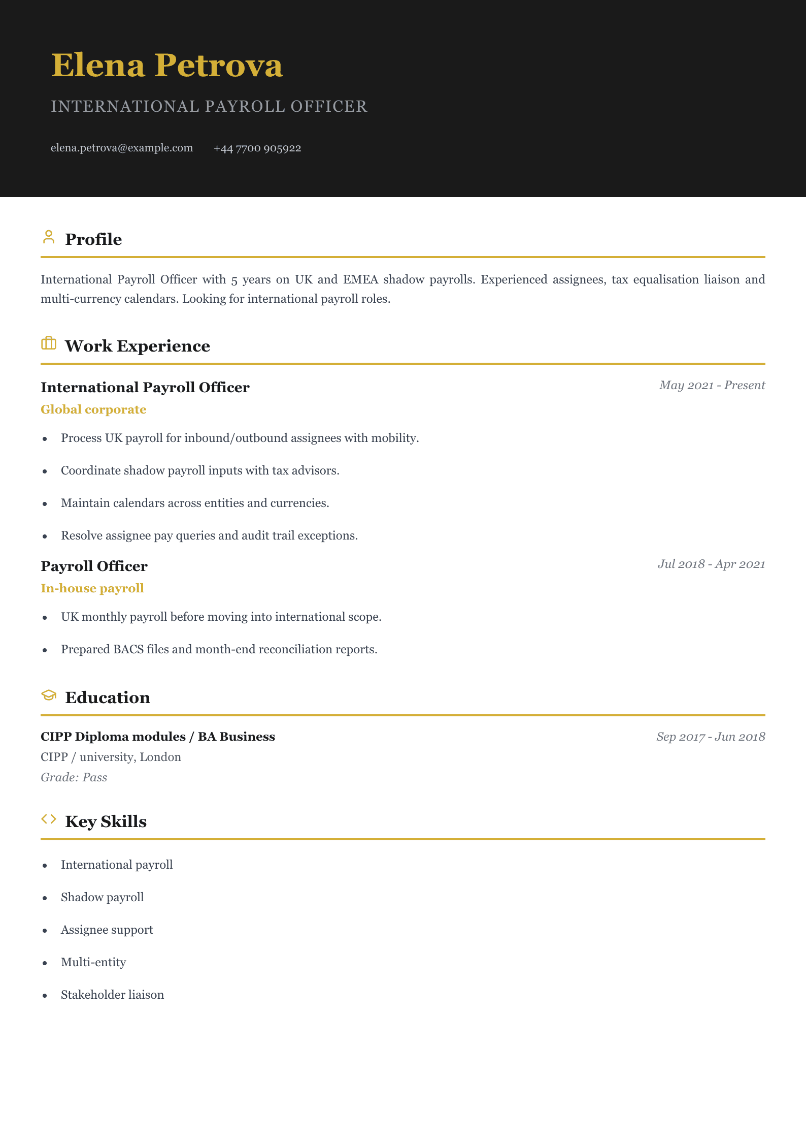 international payroll officer cv template