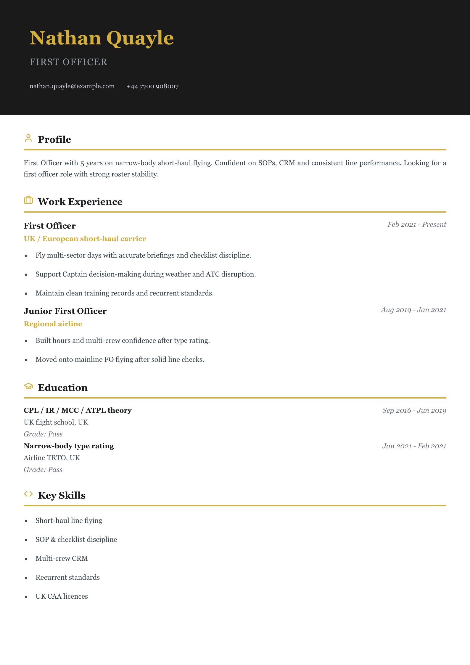 pilot CV template