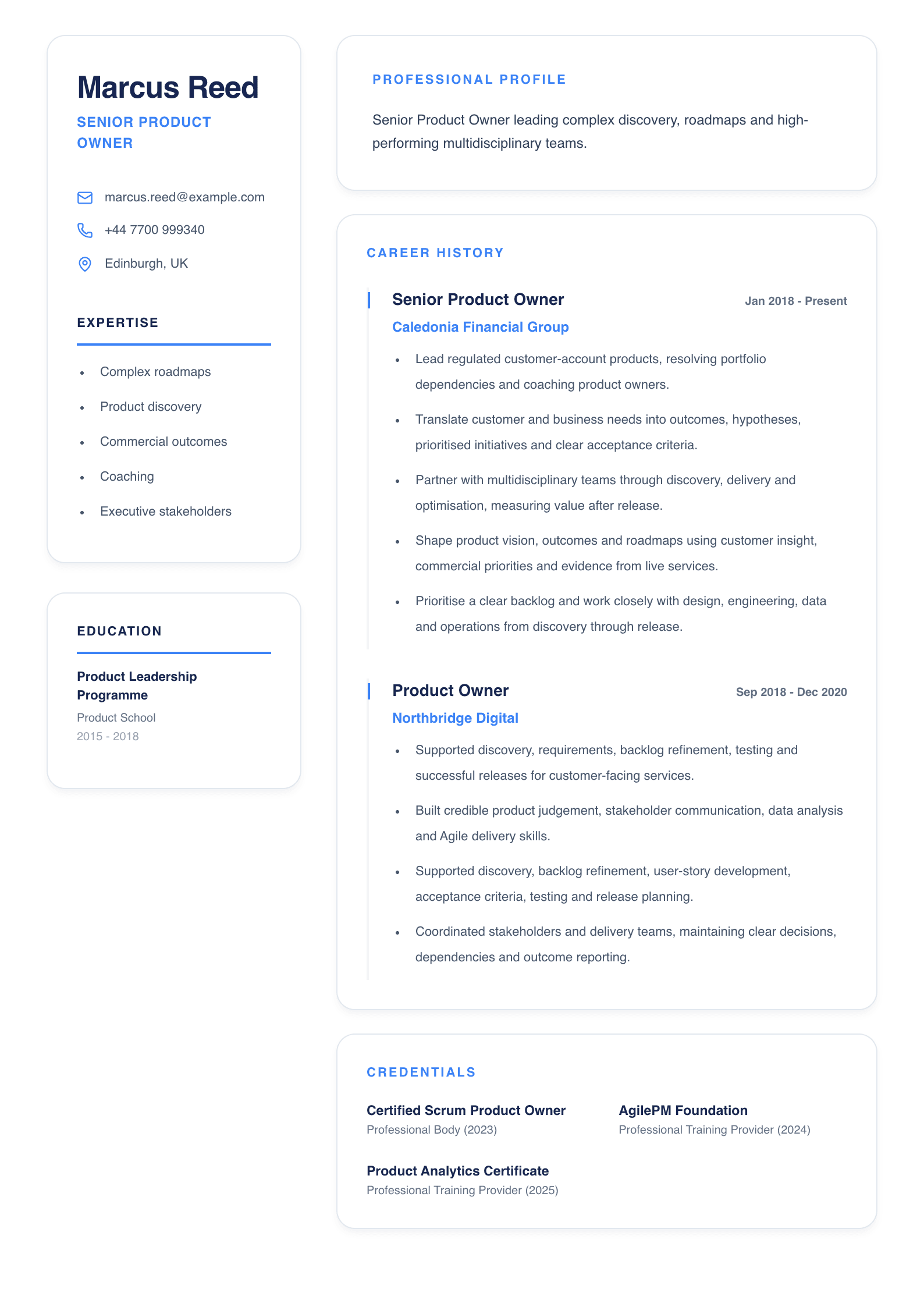 Senior Product Owner CV template