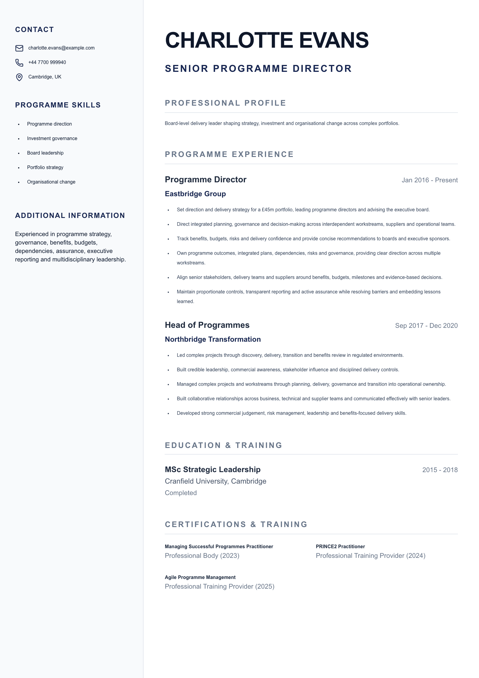 Senior Programme Director CV template