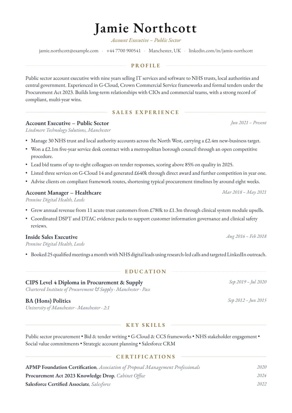 Public Sector Account Executive CV template