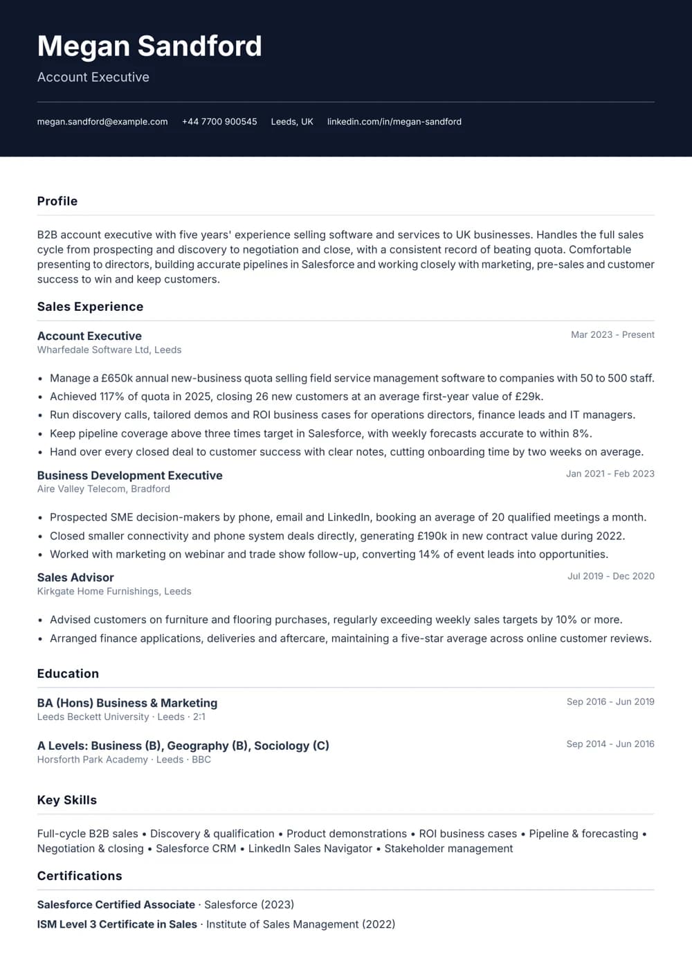 B2B Account Executive CV template