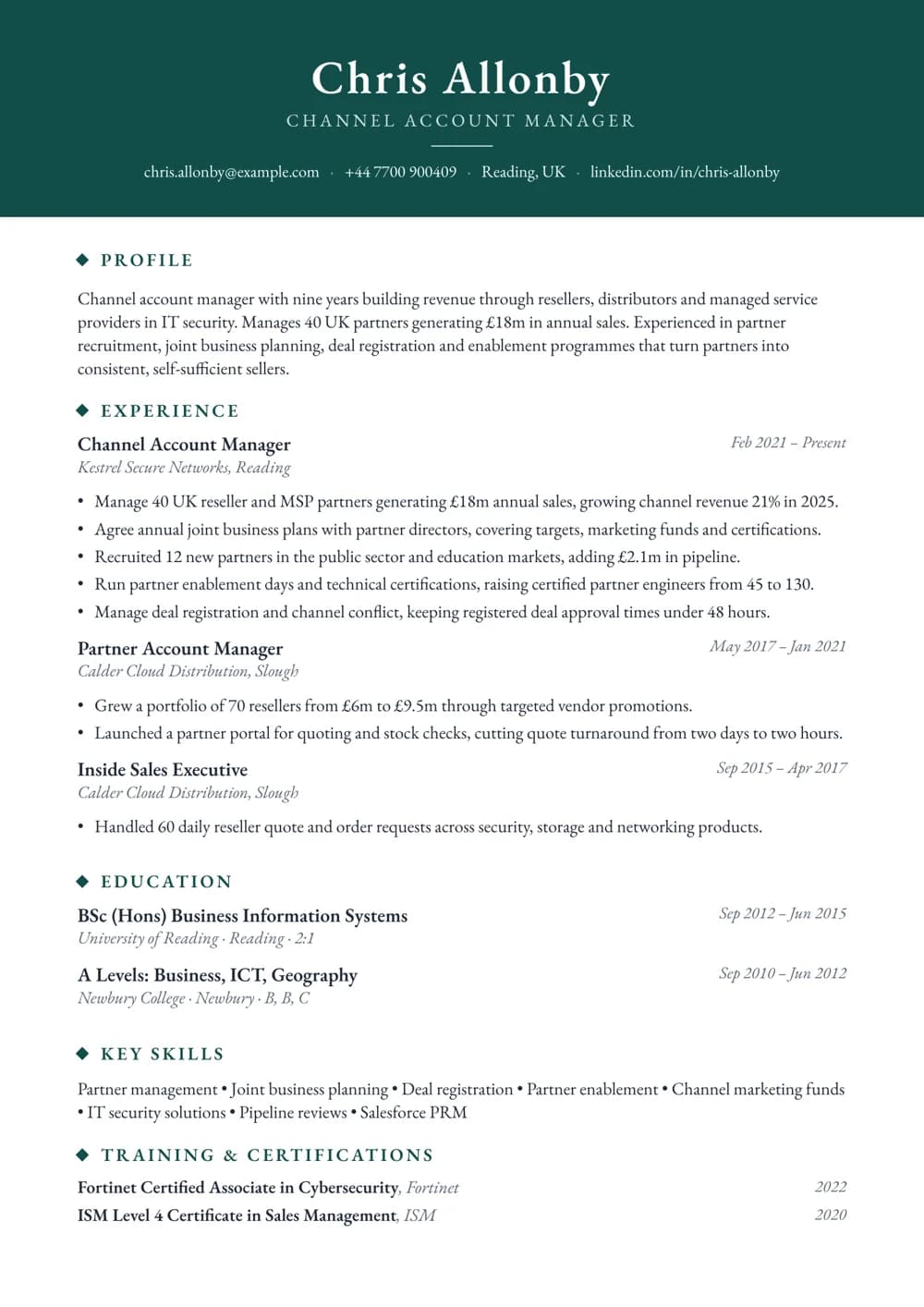 Channel Account Manager CV template