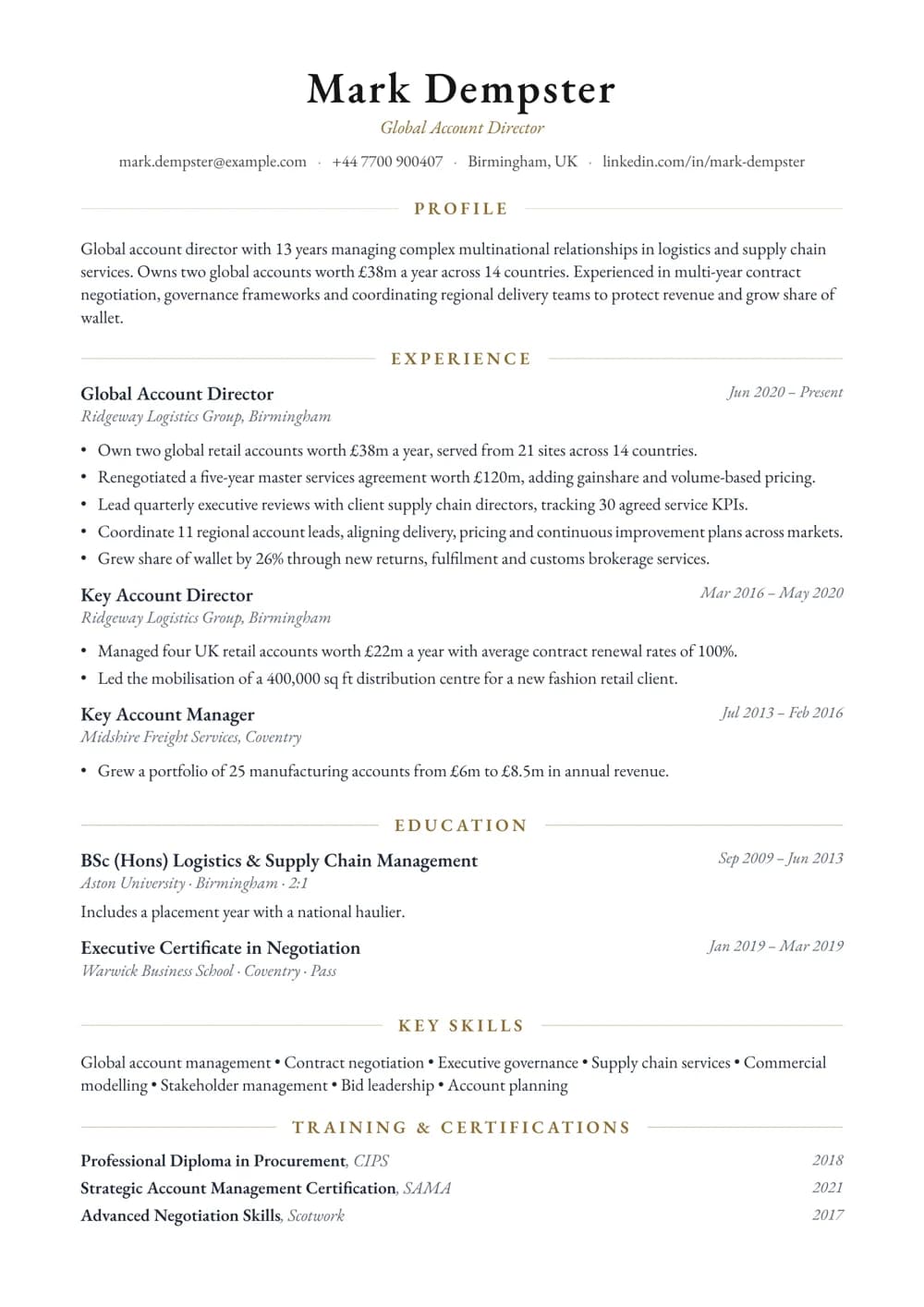 Global Account Director CV template