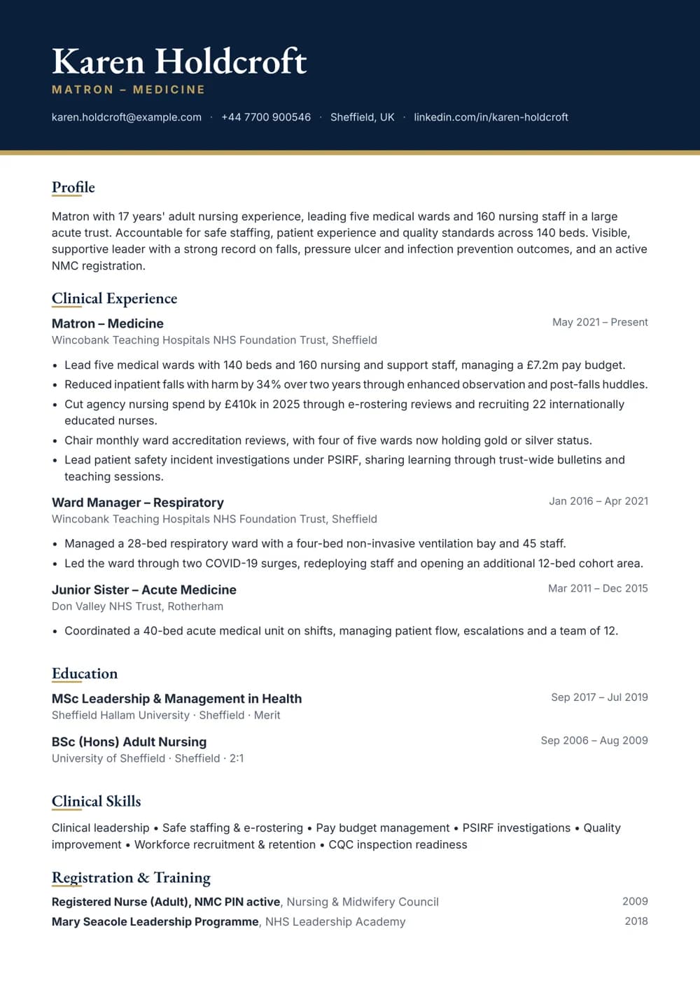 Adult Nursing Matron CV template