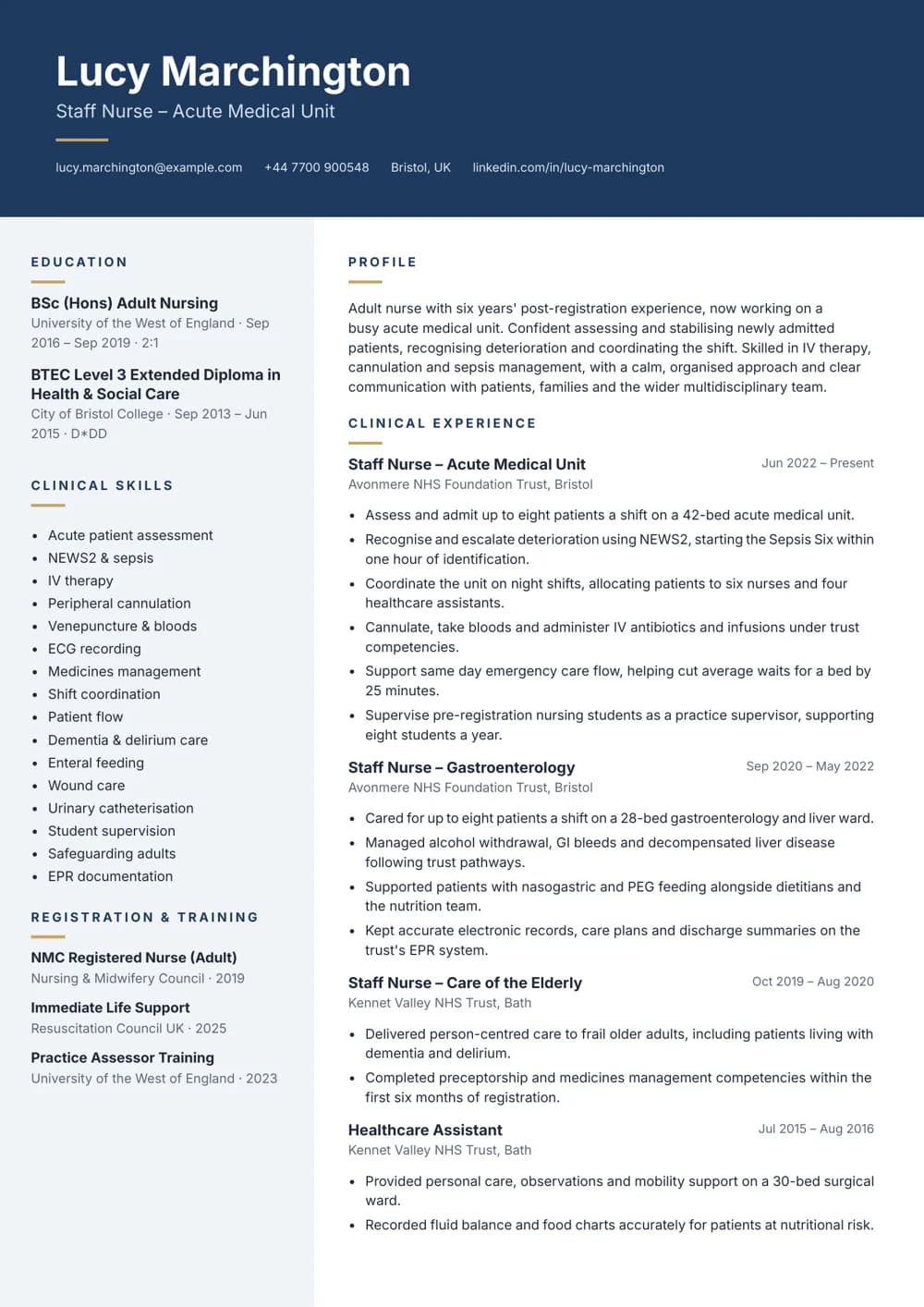 Acute Medical Unit Nurse CV template