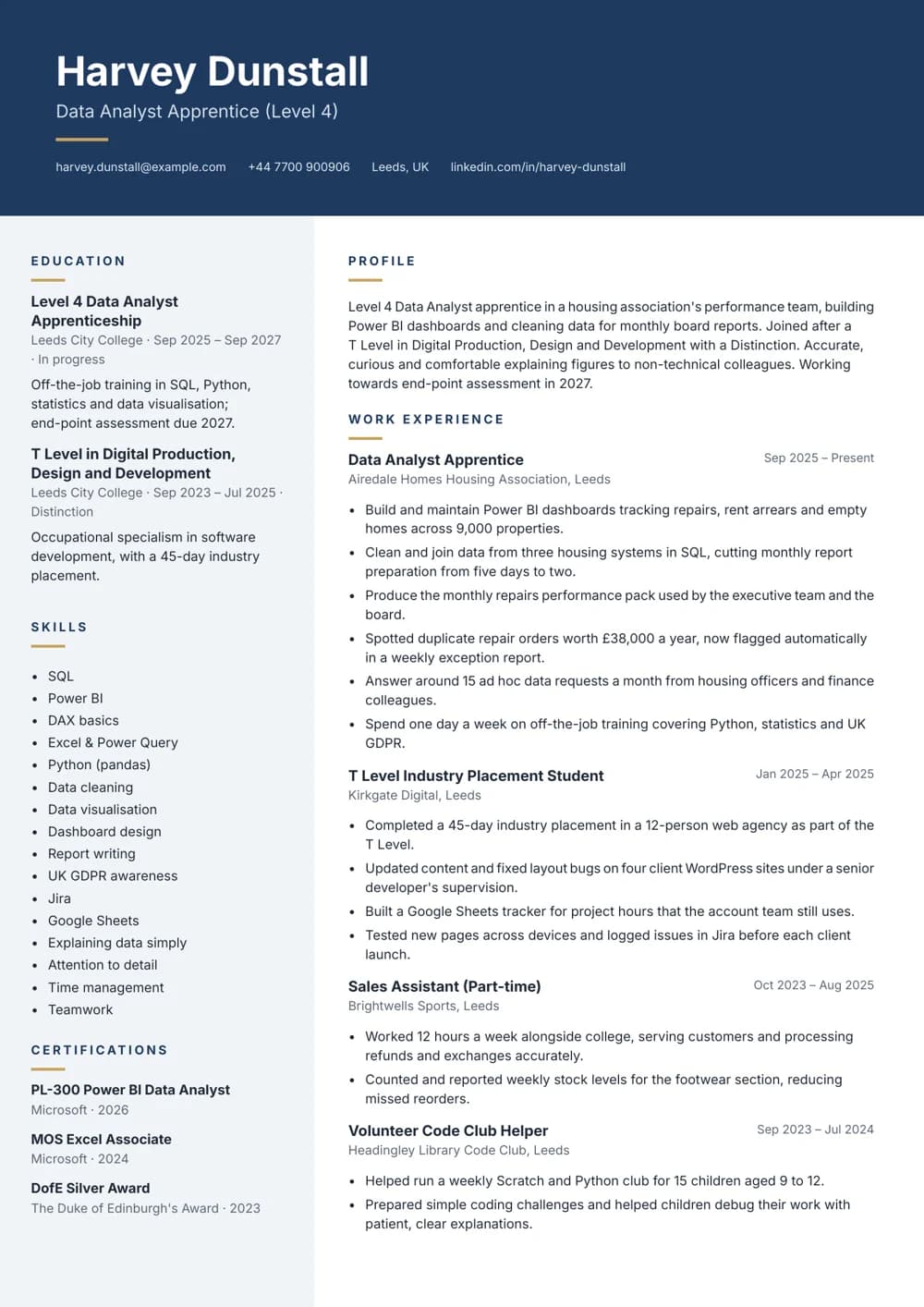 data analyst apprentice cv template